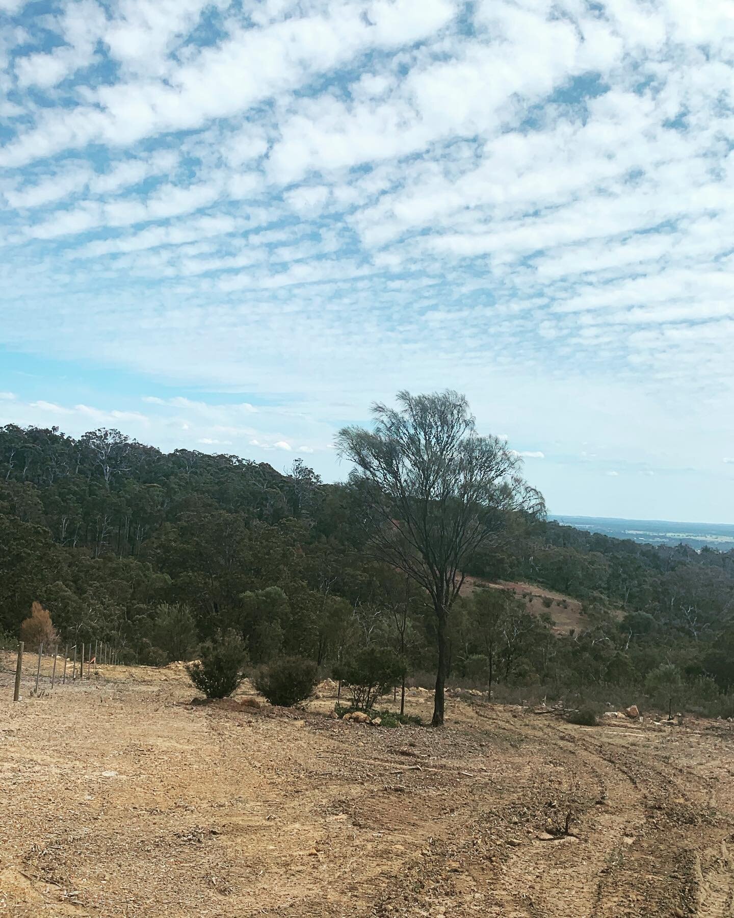 Almost 2 years ago, in 2019, land clearance started at #theedenreserve. 

Even then, when there was nothing built, it was a peaceful and beautiful place. 

Full of potential.