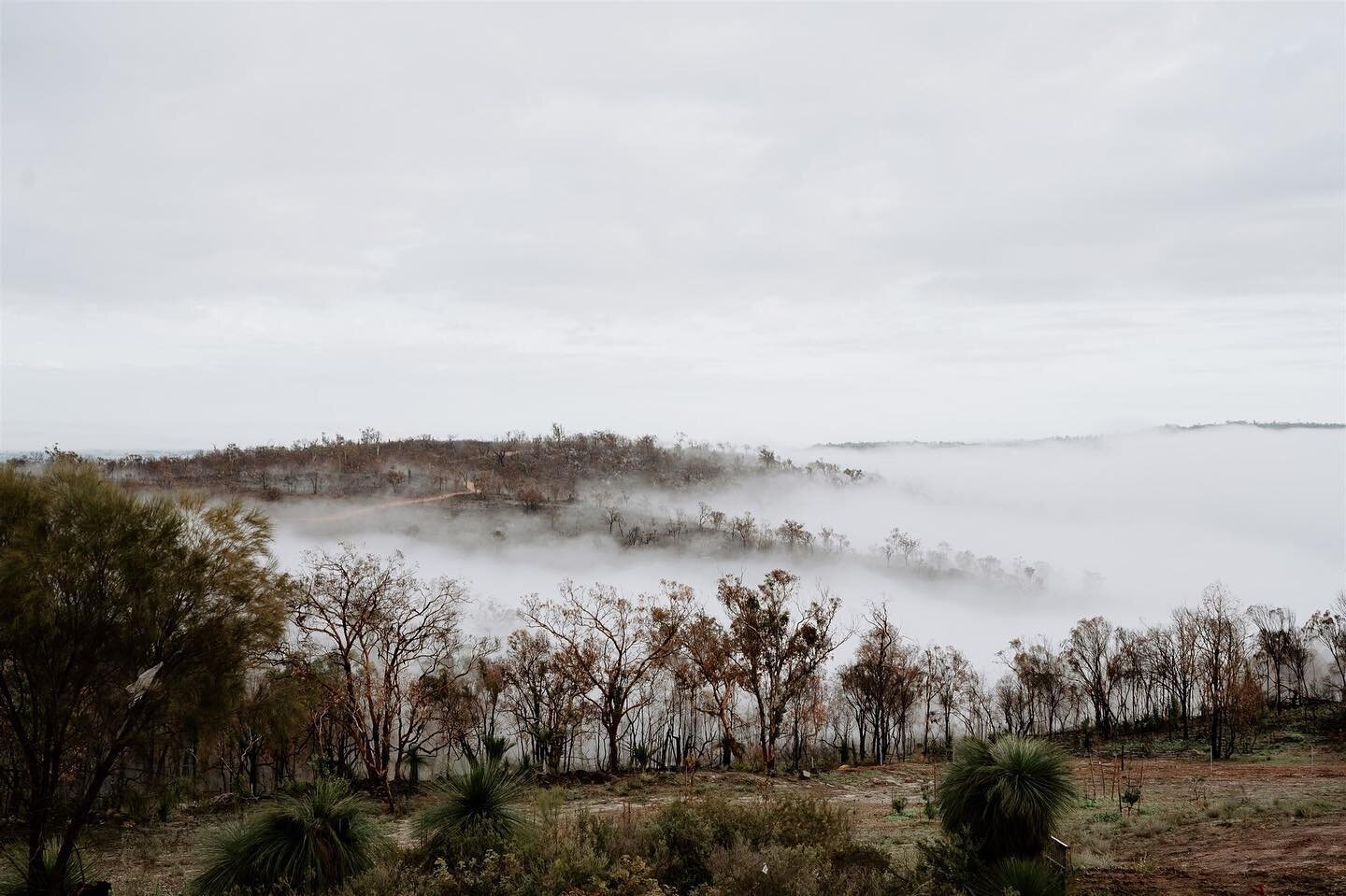 Winter is so beautiful in the hills. Nothing beats waking up in the early morning to crisp, fresh air and serene surrounds. ⁠⁠
⁠⁠
#TheEdenReserve