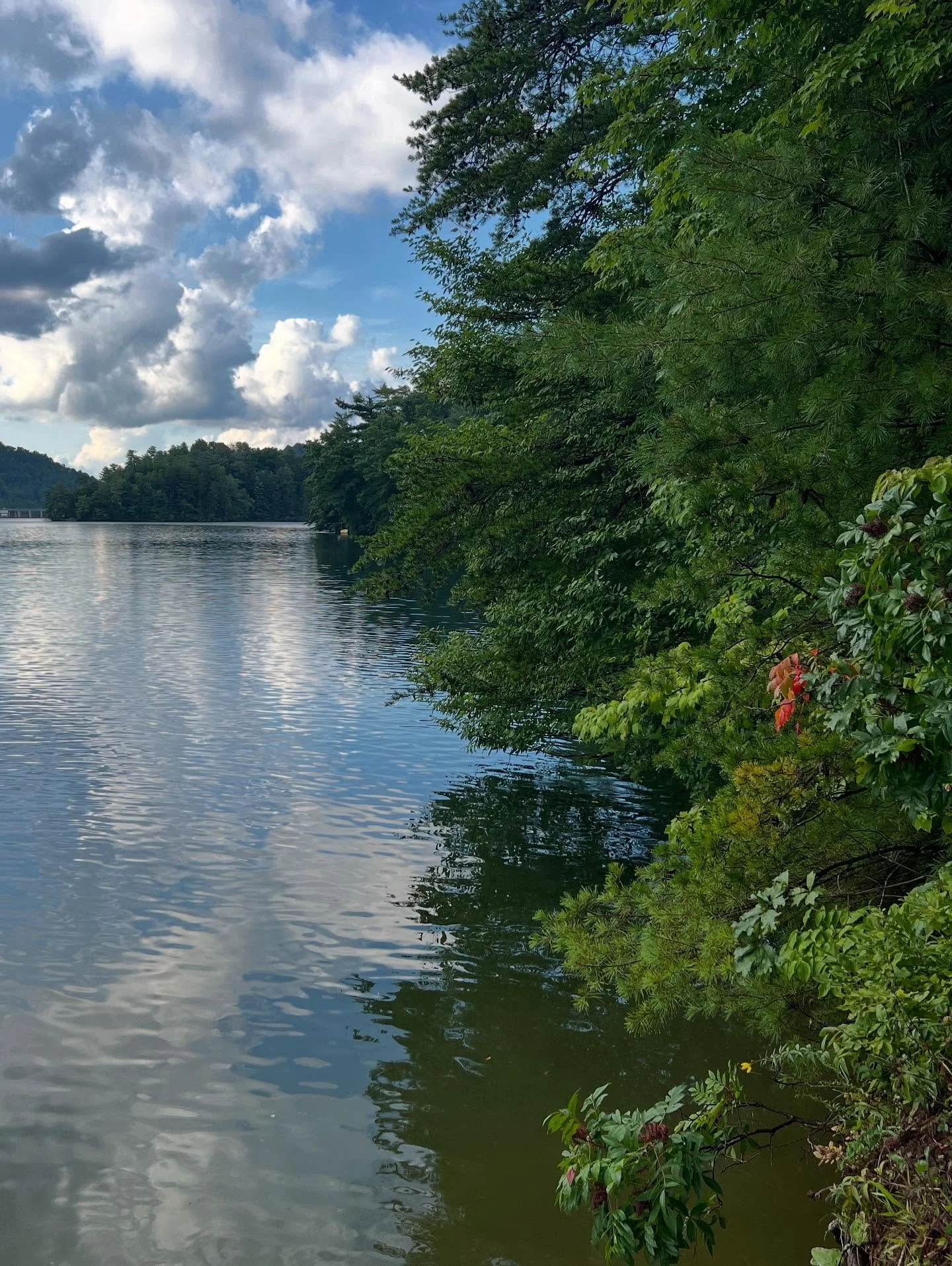 When your nervous system has been on high alert for so long&hellip;
When it&rsquo;s hard to relax, to trust, to feel at home in your own skin&hellip;
When connection feels just out of reach, even with people you love&mdash;
It can leave you feeling i