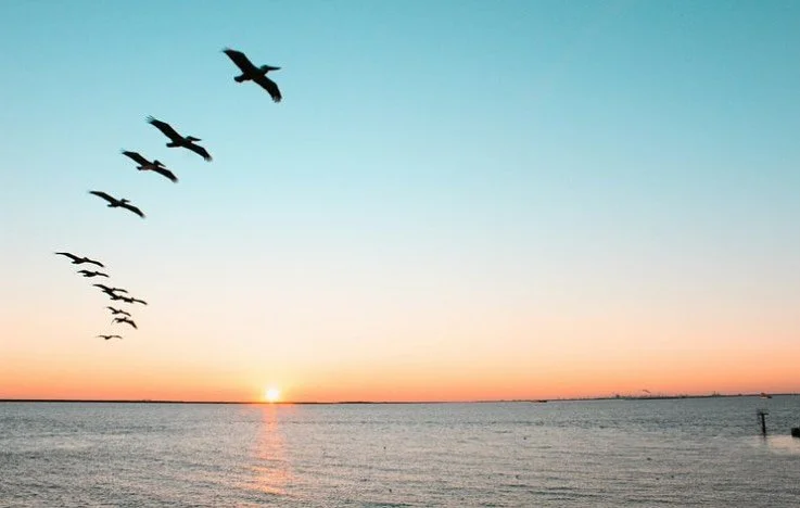 What I&rsquo;ve Learned After Four Rounds of the Safe and Sound Protocol 🐋

If you&rsquo;ve been walking through your healing feeling deeply alone &mdash; I want you to know, I&rsquo;ve been there too.

For many of us, our bodies don&rsquo;t always 