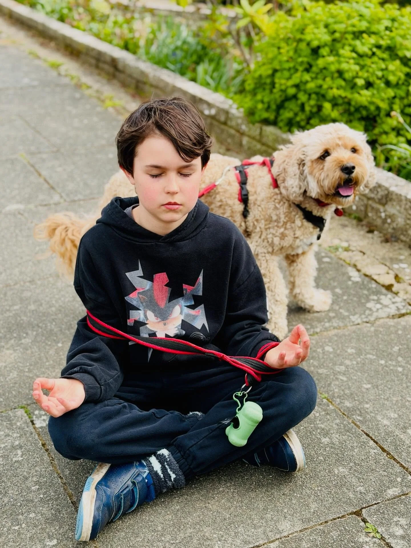 Meet Max 💚

This is our crazy, kind-hearted, always-keeping-us-on-our-toes 10-year-old&hellip; Max.

Today, on a simple dog walk with Freddie, he suddenly stopped, sat down, closed his eyes&hellip; and just breathed. Right there on the pavement, lea