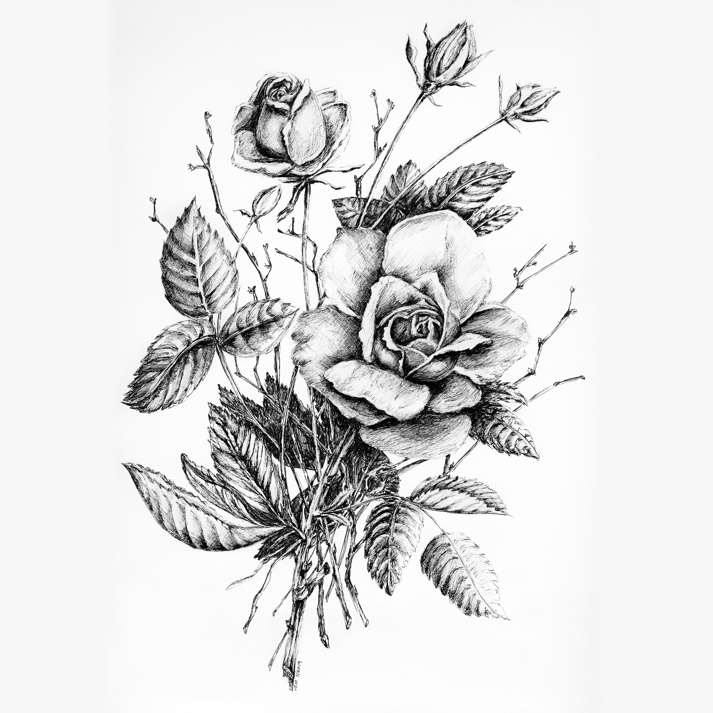 Roses in Bloom, Original, Framed