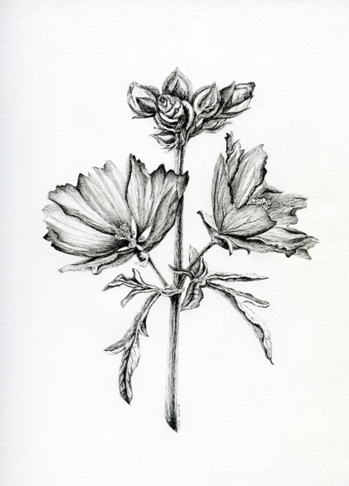 Screen Shot 2021-07-16 at 4.47.08 PM.png