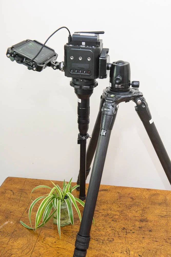 Smart macro modular microscope system — Domanski Photographic