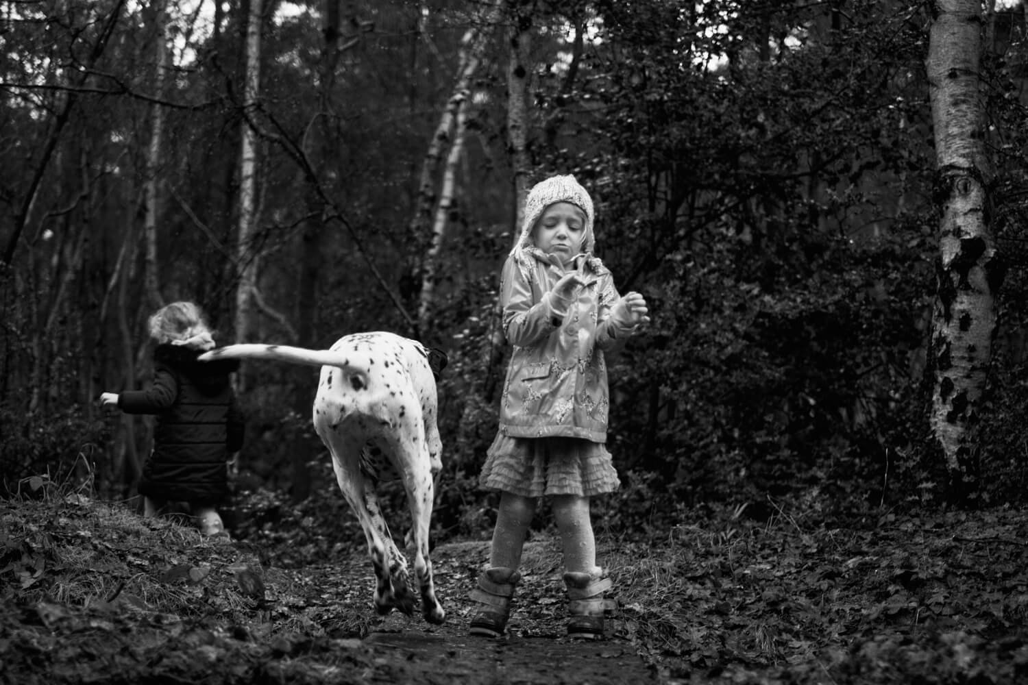 2 Hour Family Portrait Session 5 - child avoiding large running dog