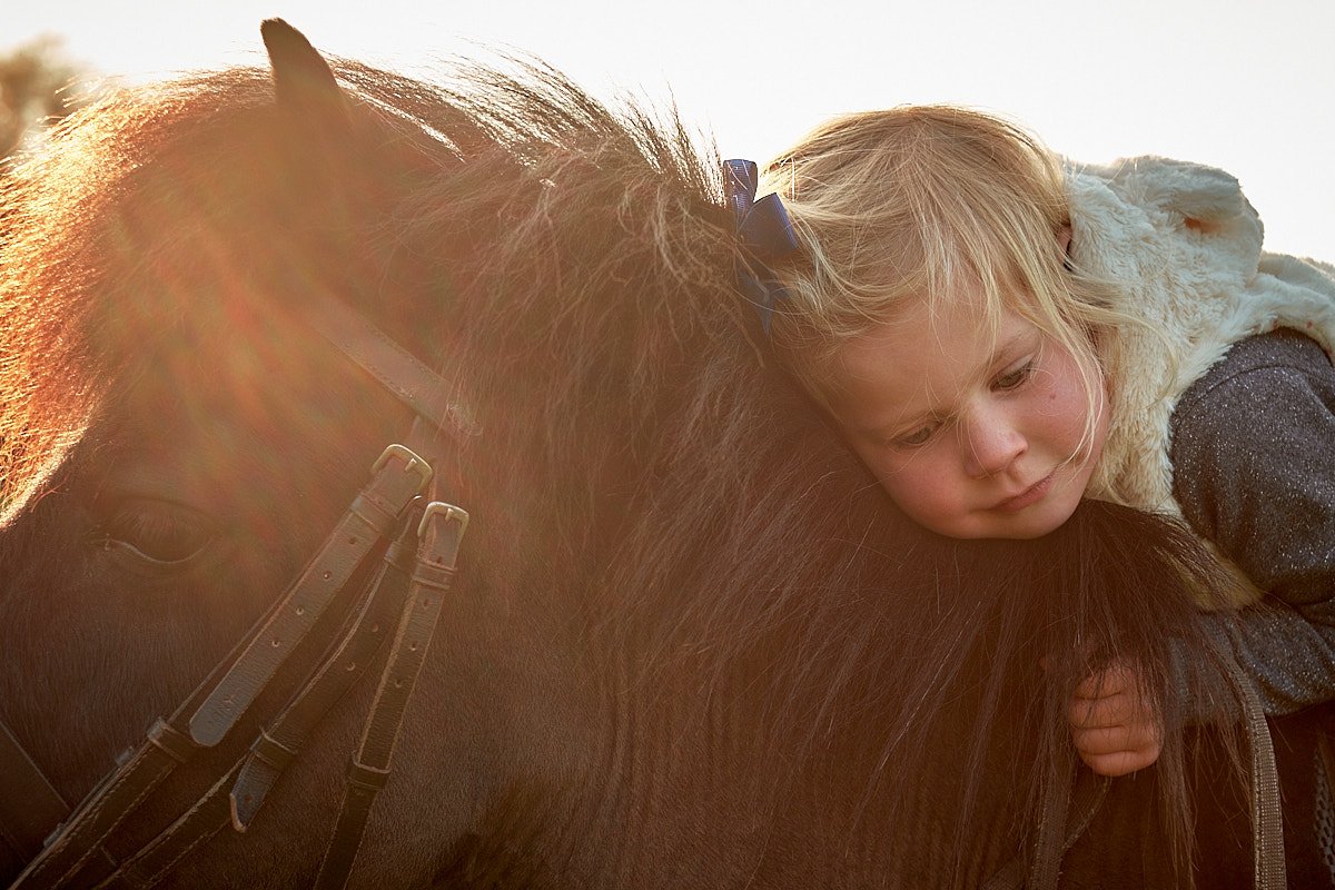  New Forest Family Portrait Session 9