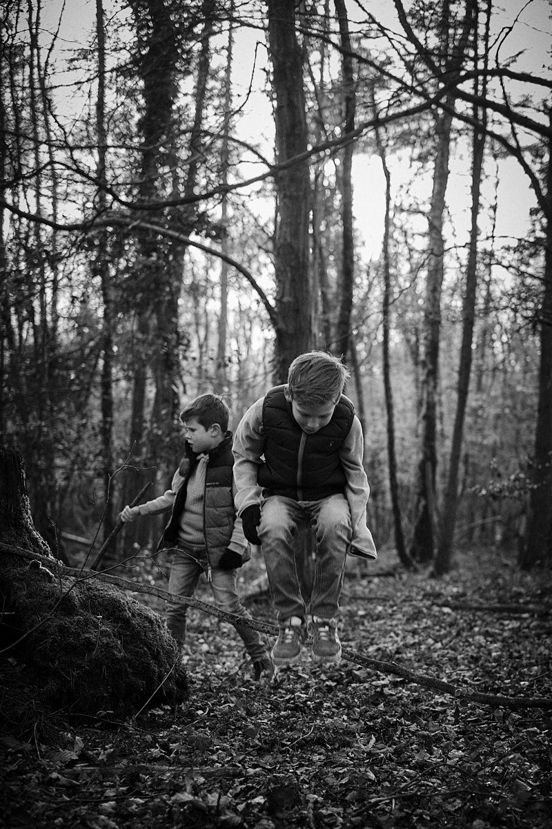  New Forest Family Portrait Session 1