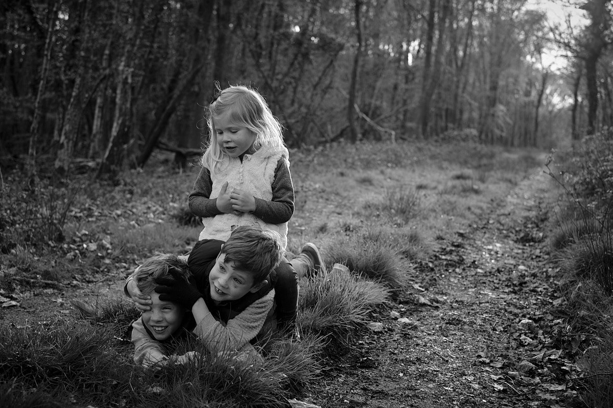  New Forest Family Portrait Session 7