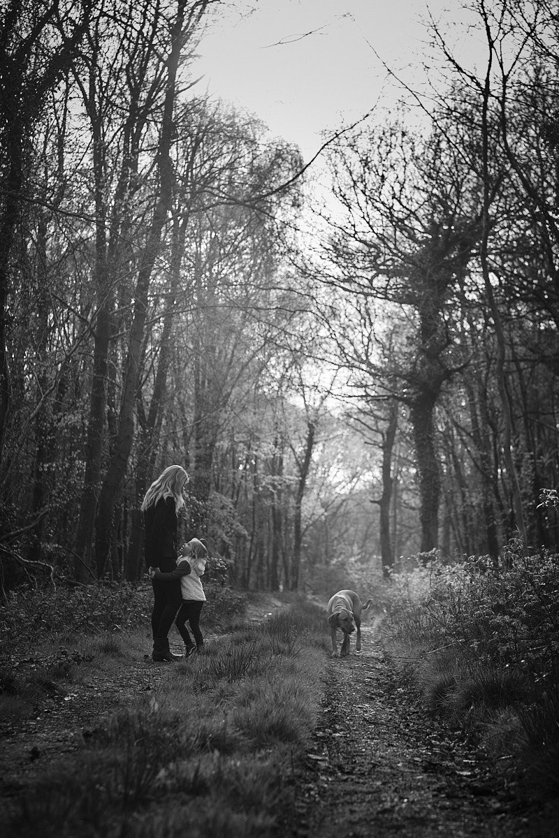  New Forest Family Portrait Session 12