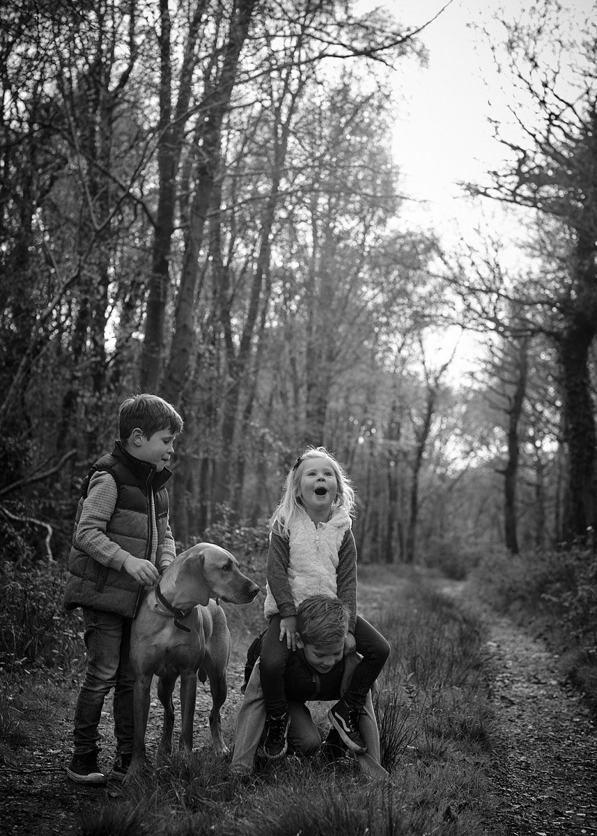  New Forest Family Portrait Session 14