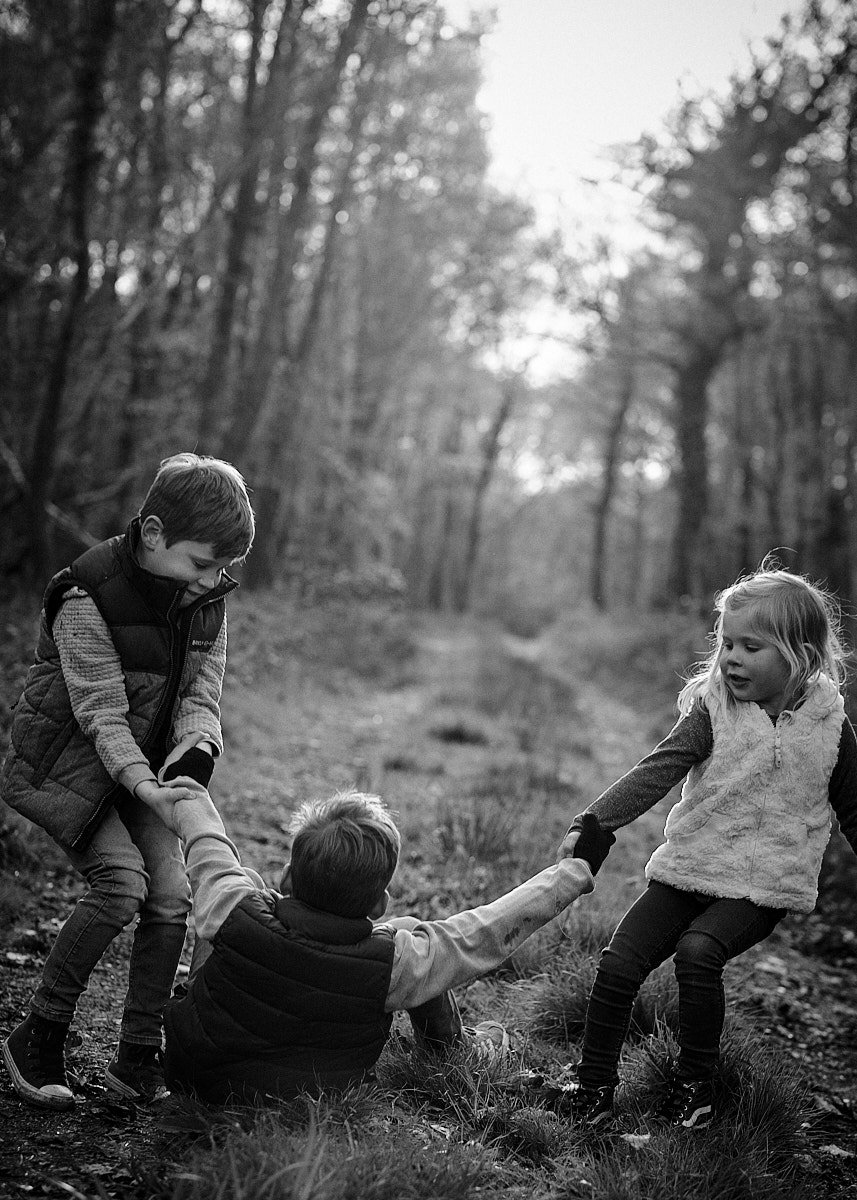  New Forest Family Portrait Session 16