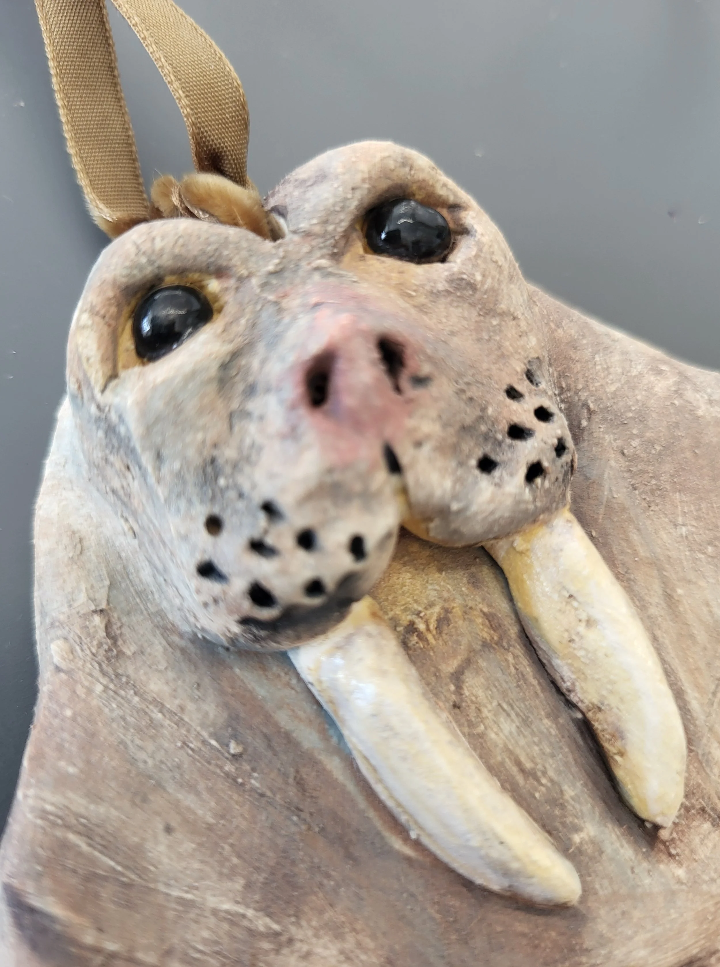 walrus 2.jpg