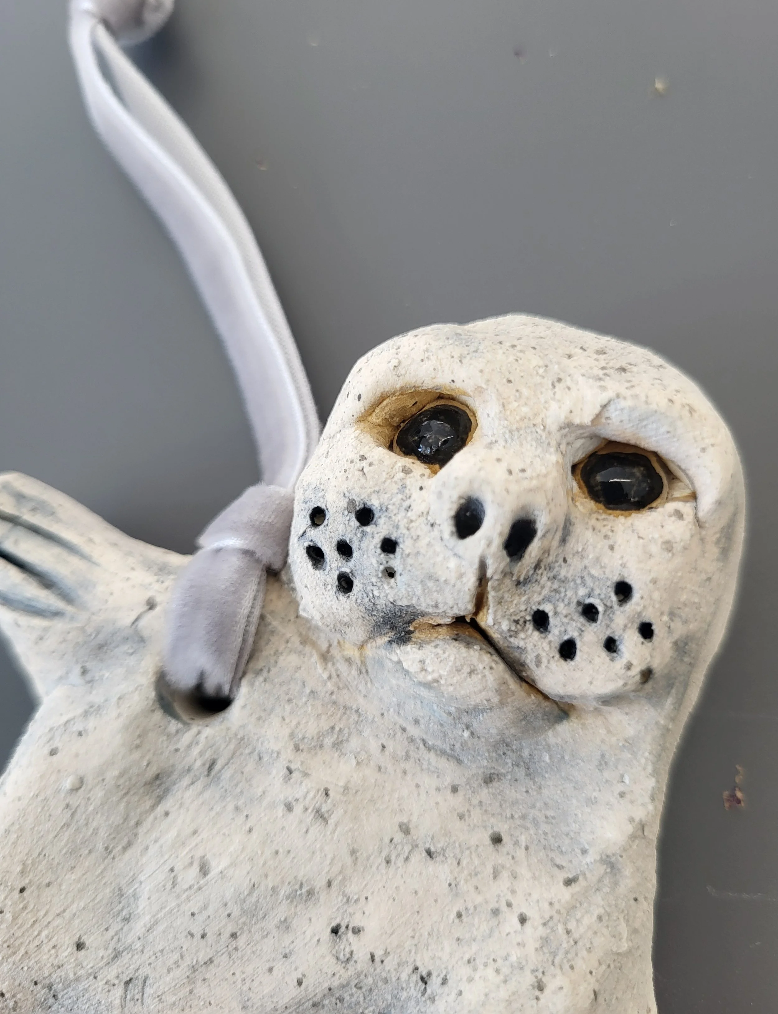 seal 2.jpg