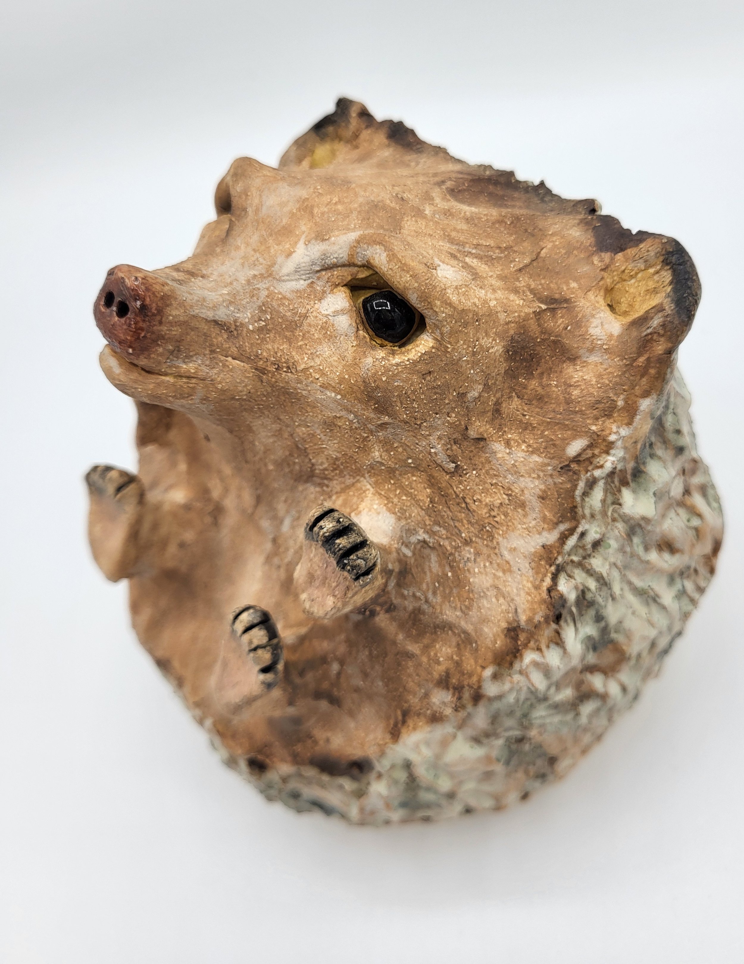 Chestnut 2.jpg