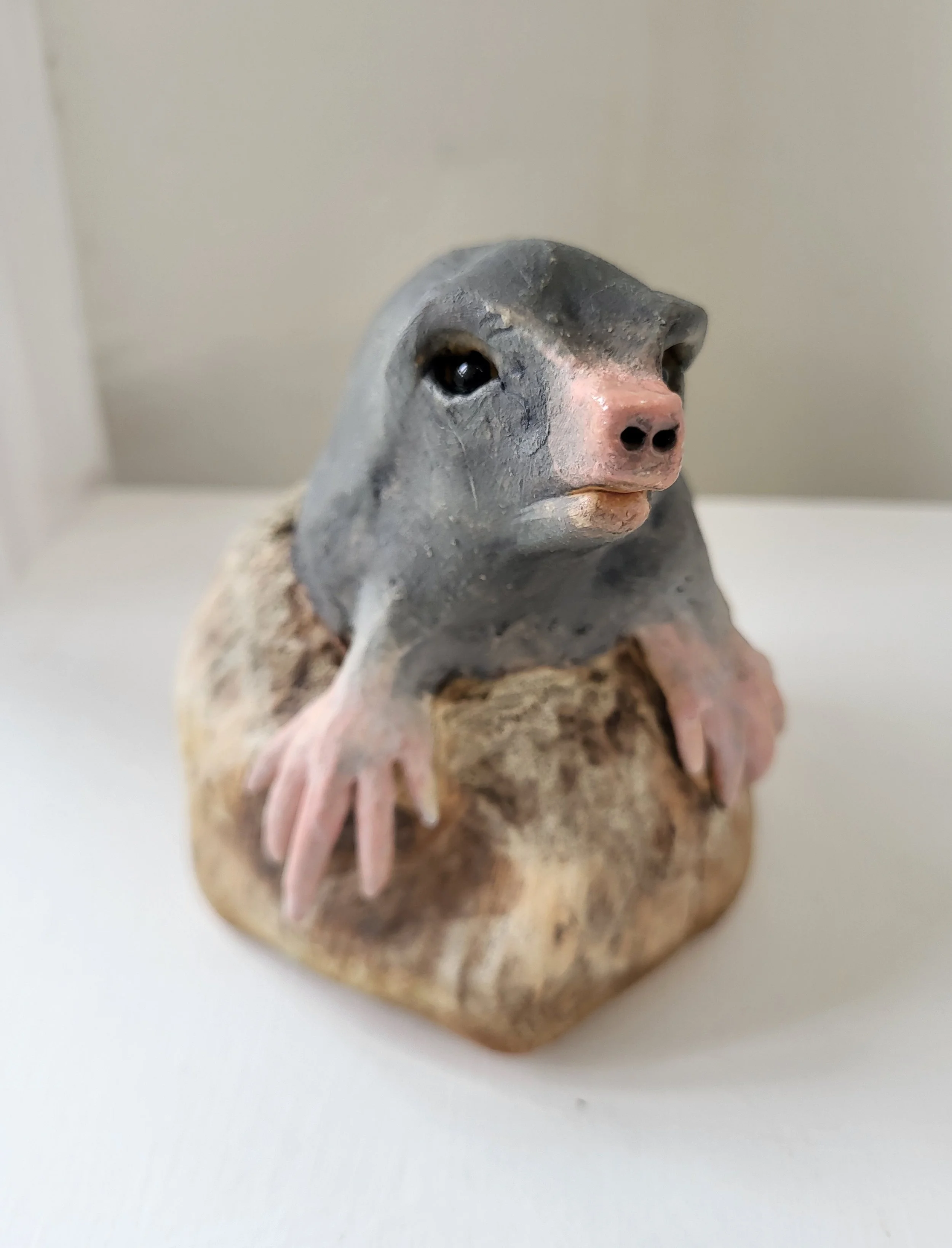 George 1 14cm tall x 13cm wide.jpg