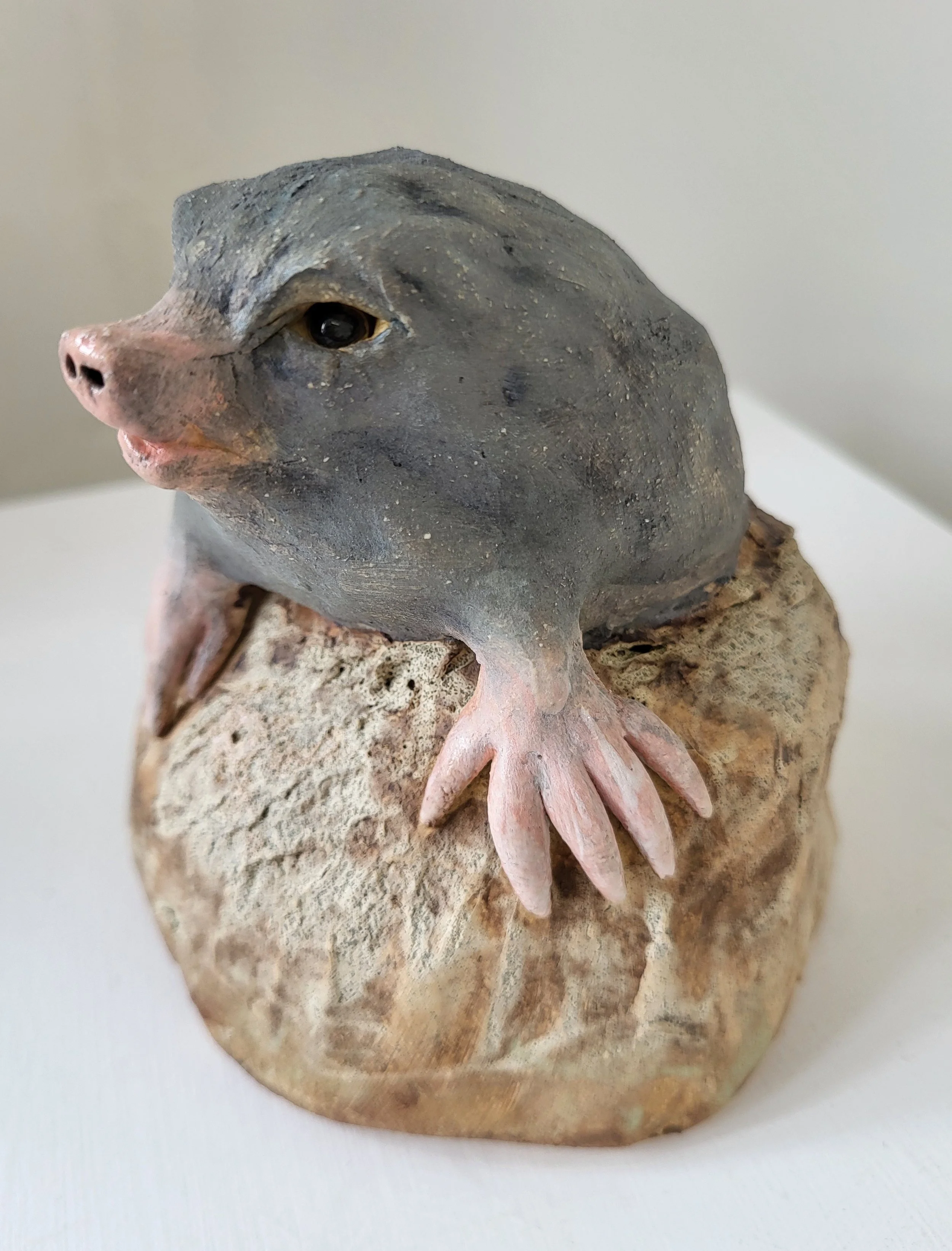 Lenny 1 14cm tall x 13cm wide.jpg