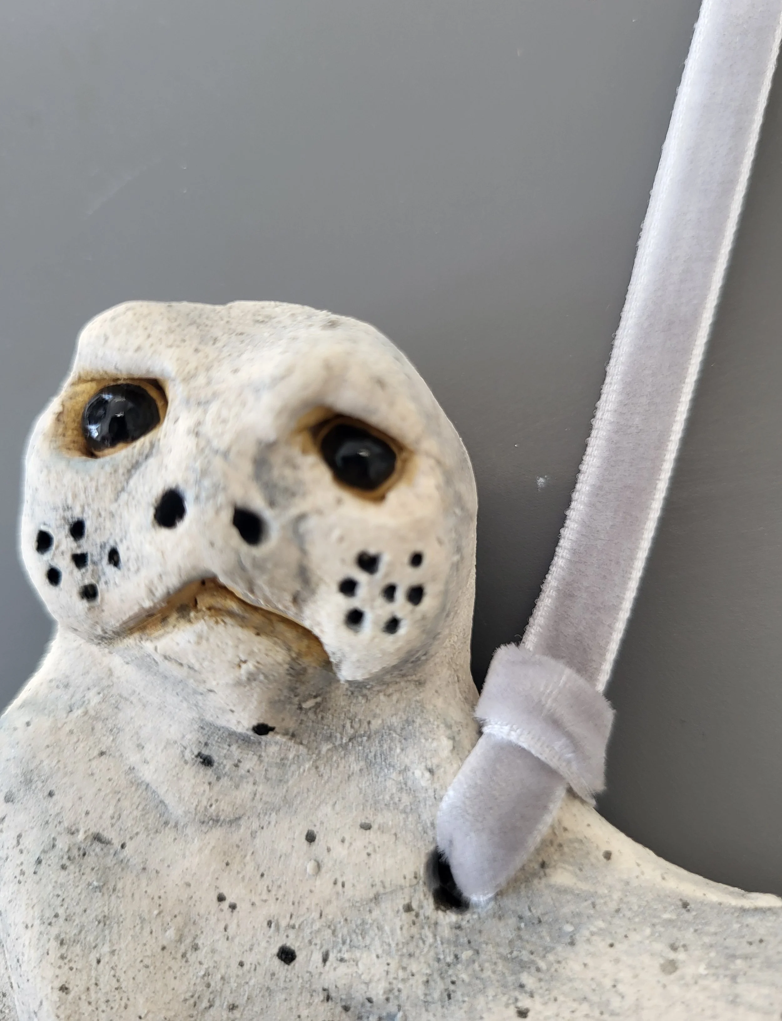 resting seal 2.jpg