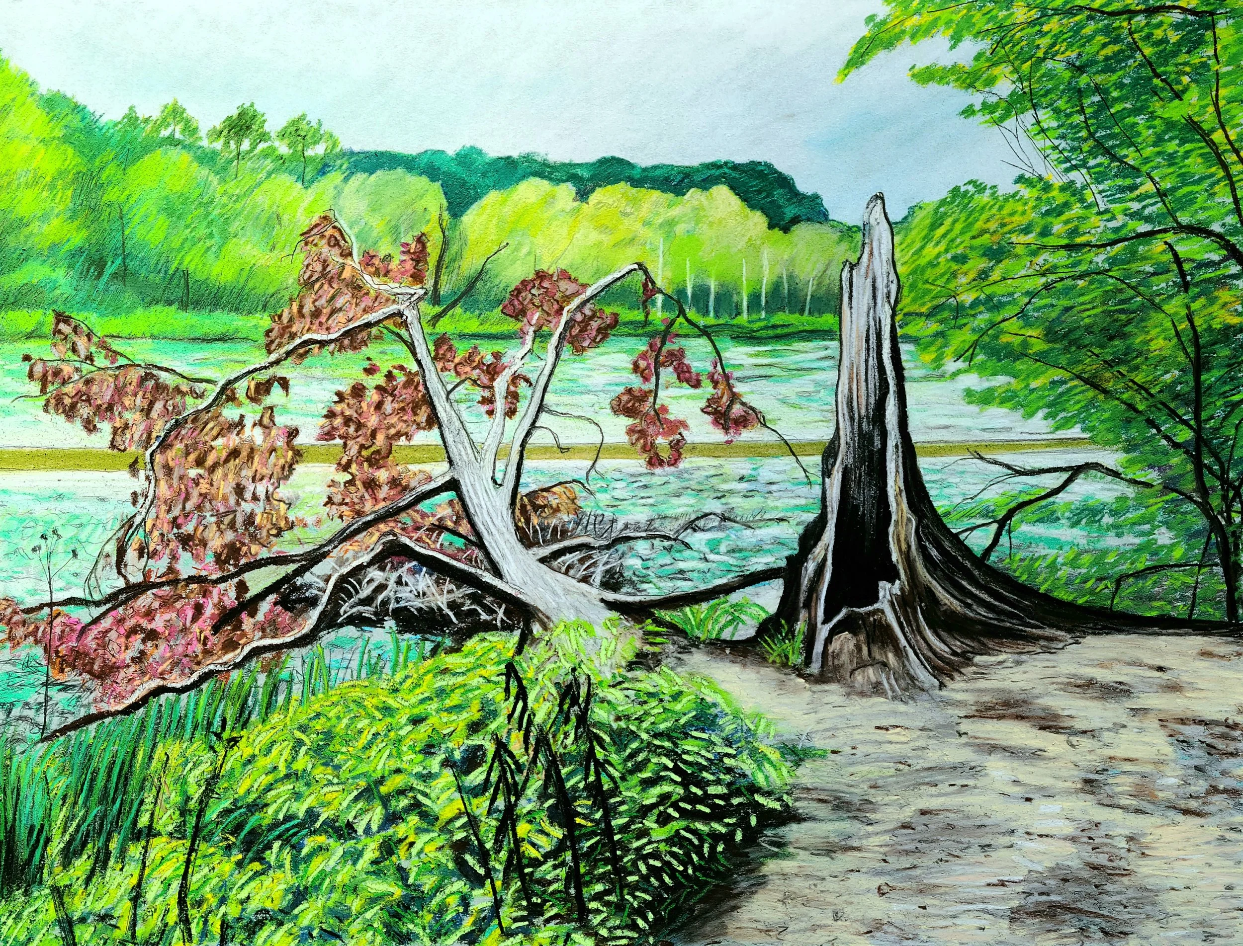 "Dead Tree on a Drained Lake", 22" x 30", pastel on paper