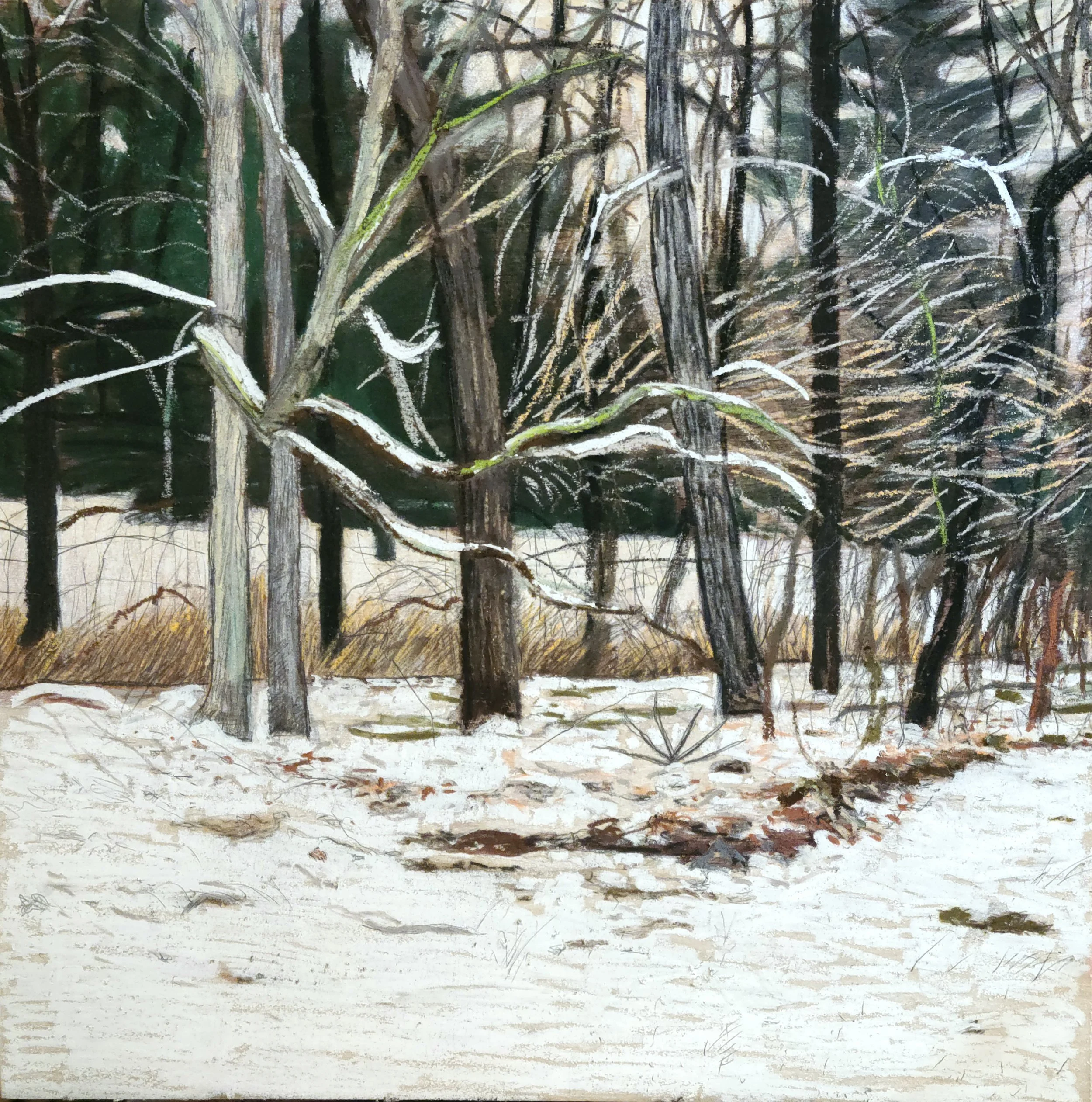 "Old Snow", 12" x 12", acrylic and pastel on panel