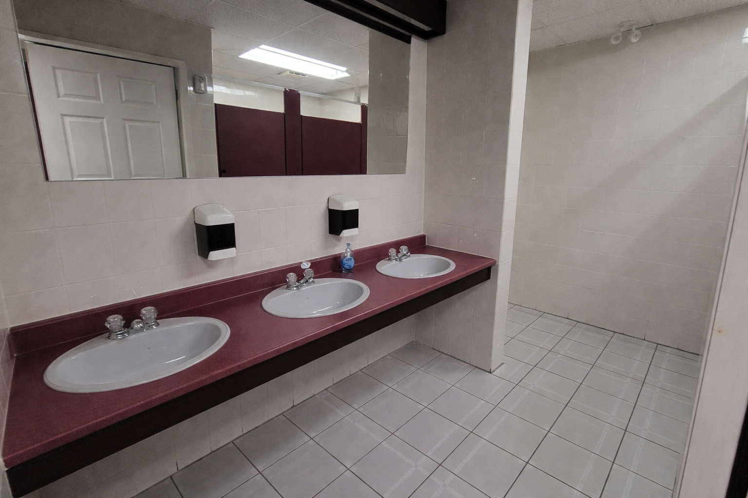 Modern restroom with oval sinks - good.png