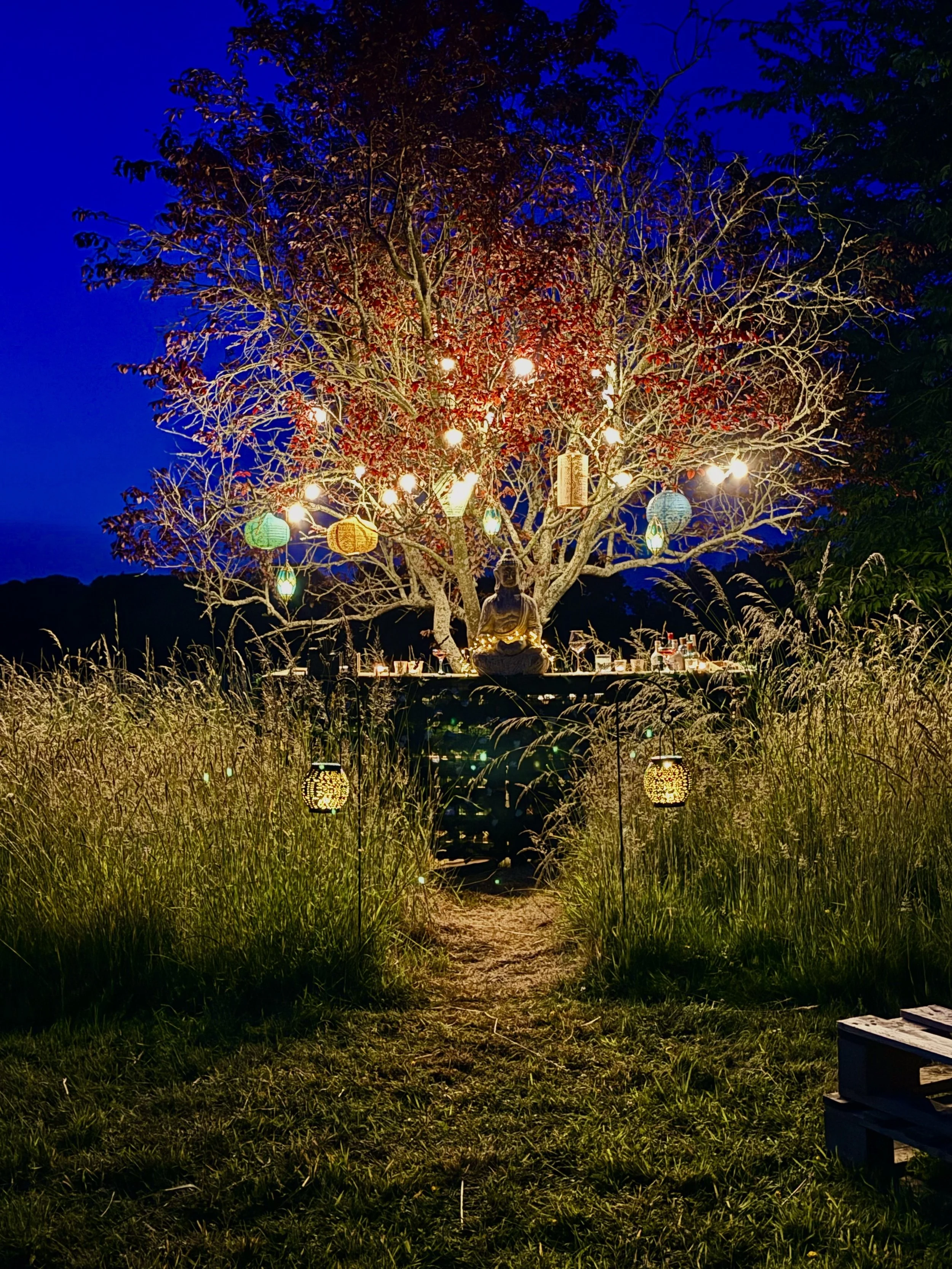 House in the Garden - Saturday 1st August - Limited 1st Release tickets