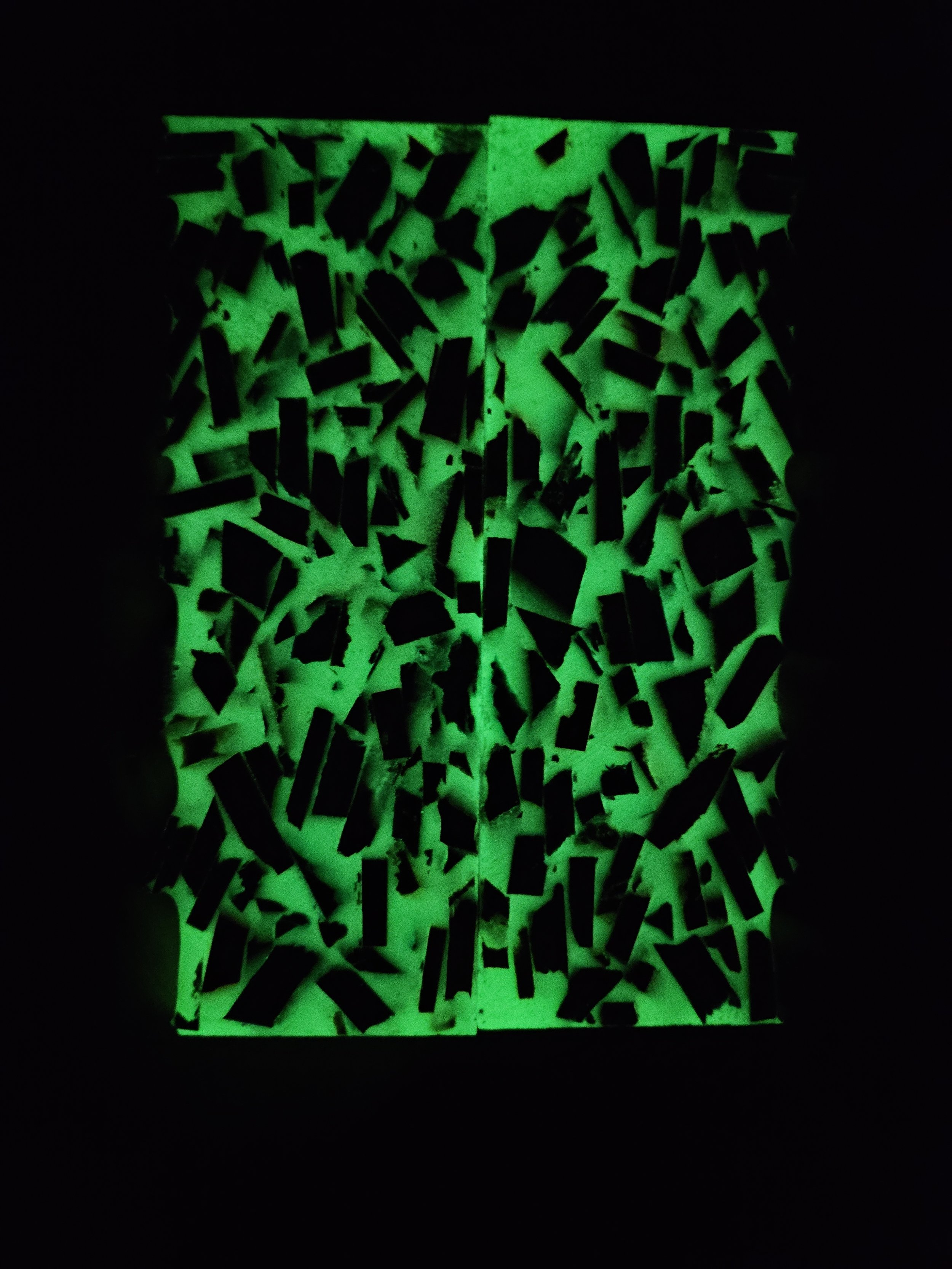 processed_266ff6218ab44890a2ab8b29ced0ef2d.jpeg