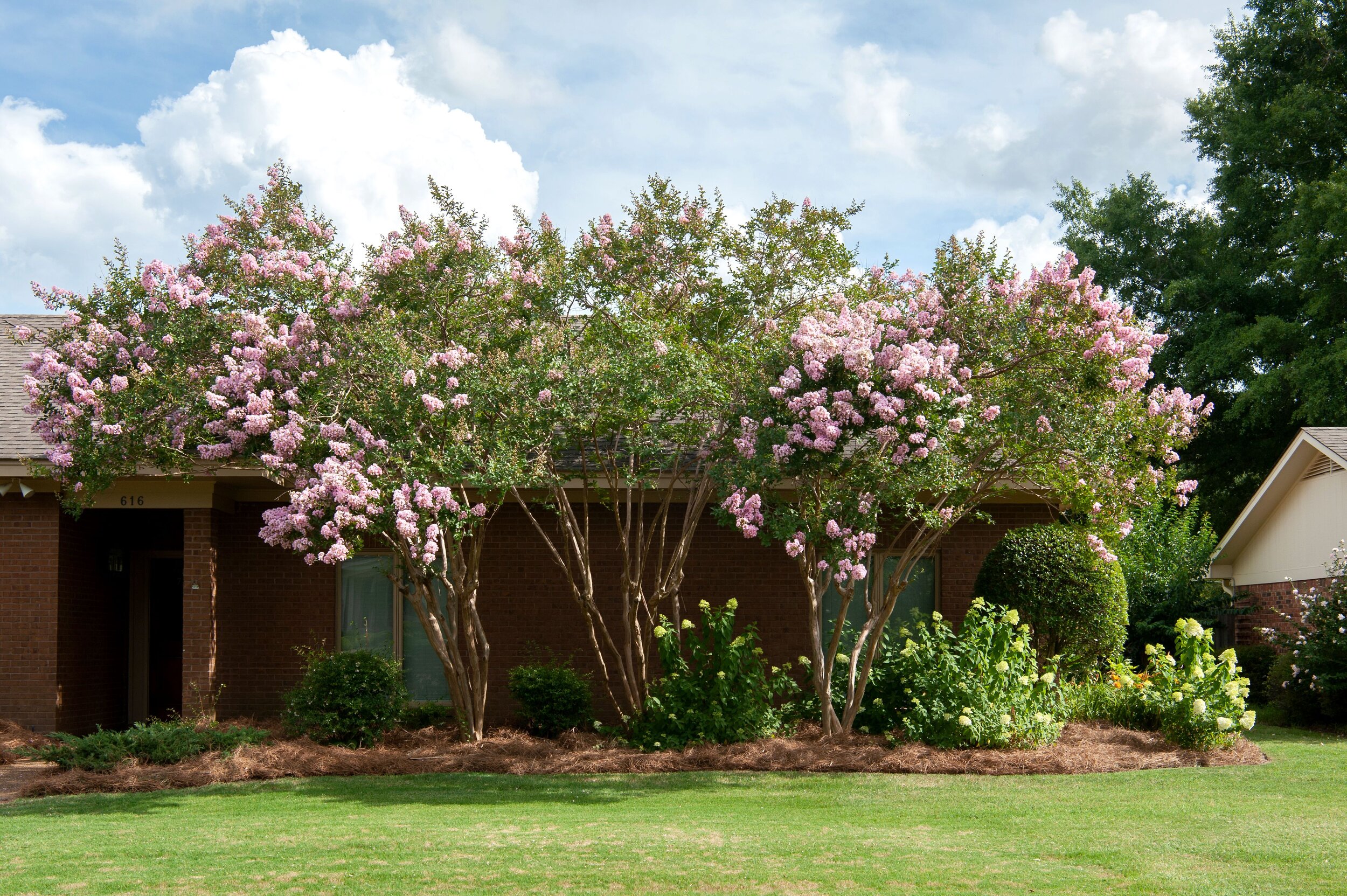 plantdesign14.jpg