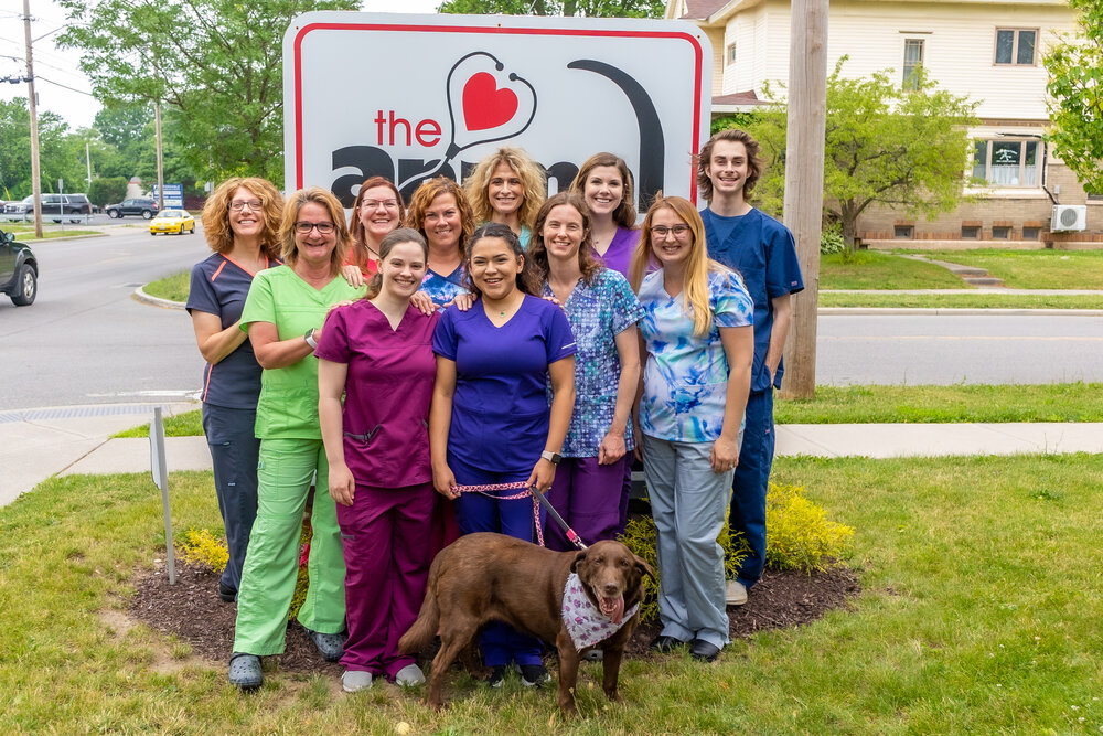About 5 — The Animal Doctors