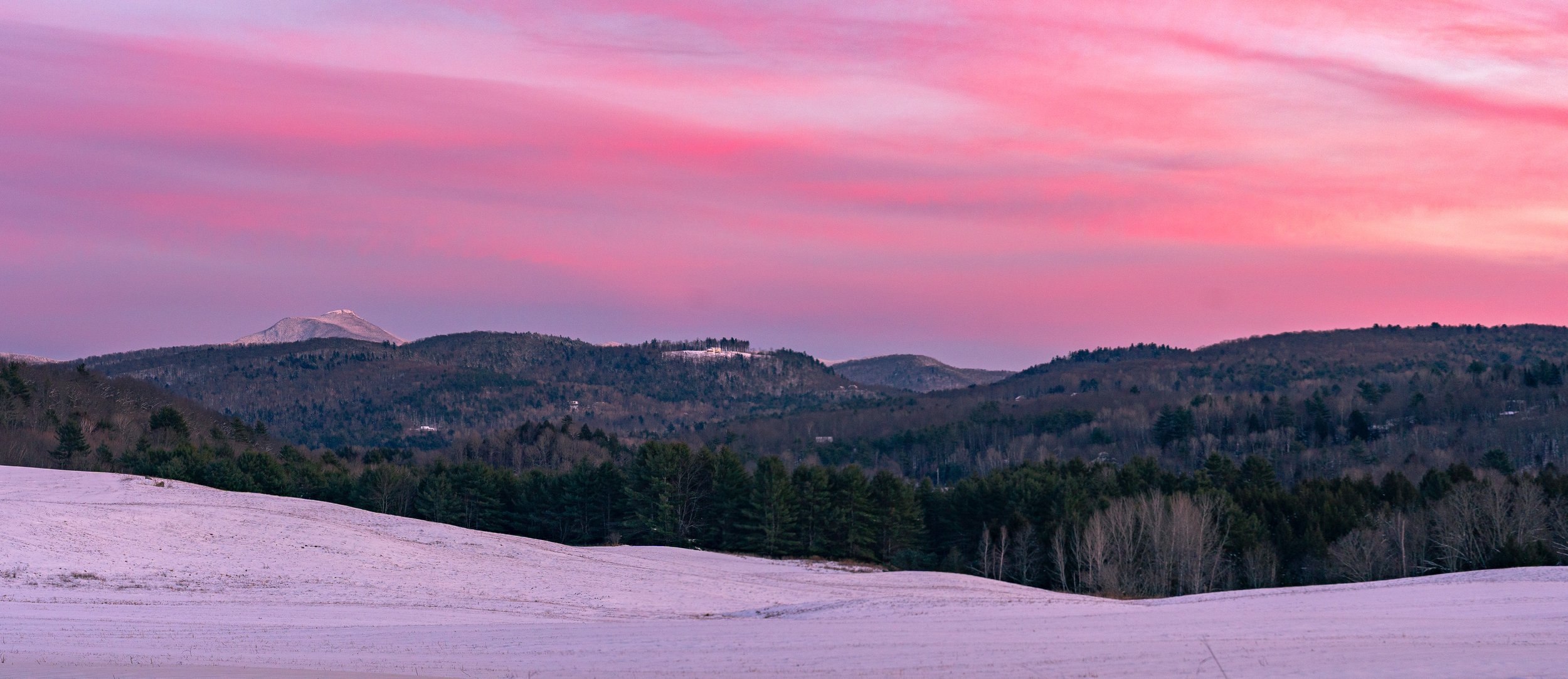 2021 Favorites-1.jpg