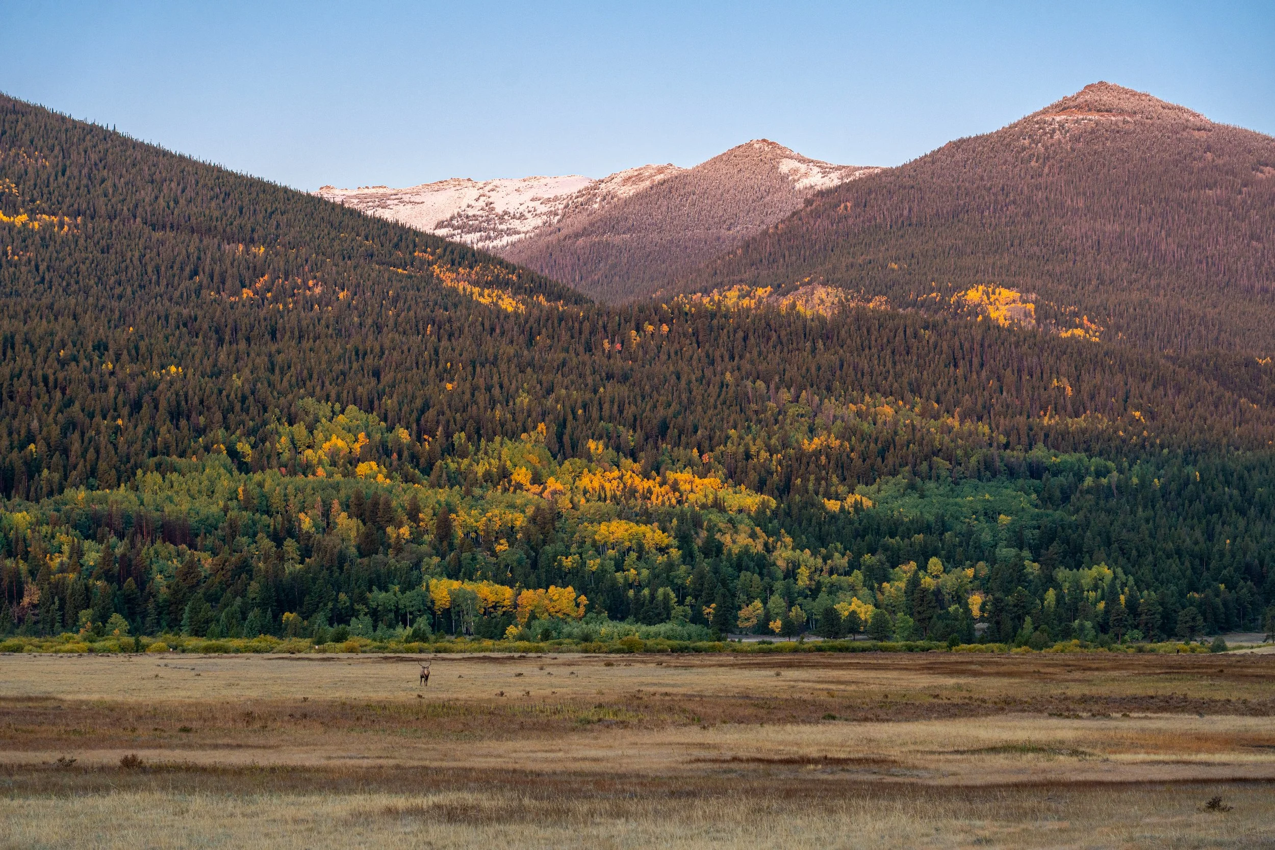 RMNP 2025 fall-3.jpg