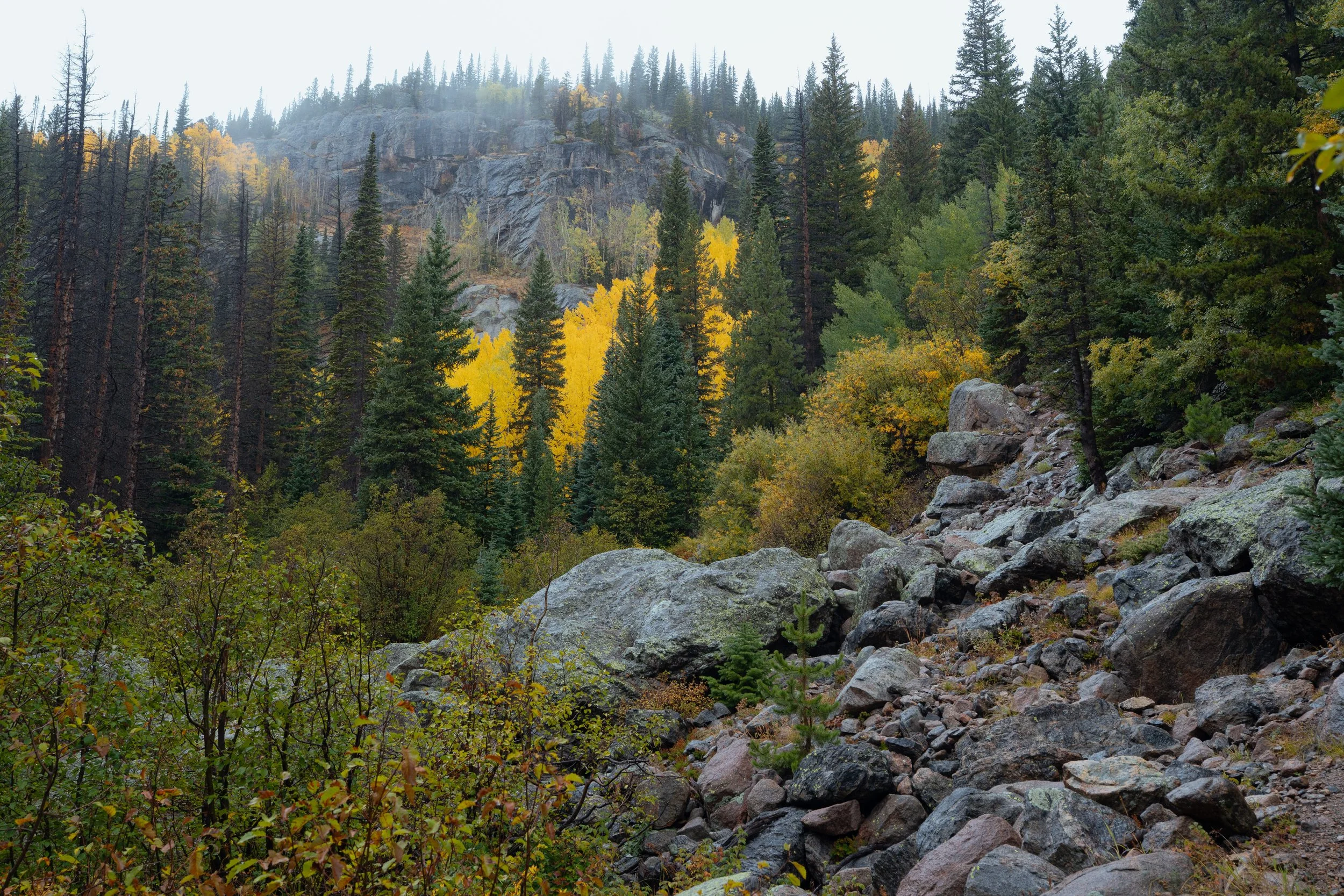RMNP 2025 fall-7.jpg