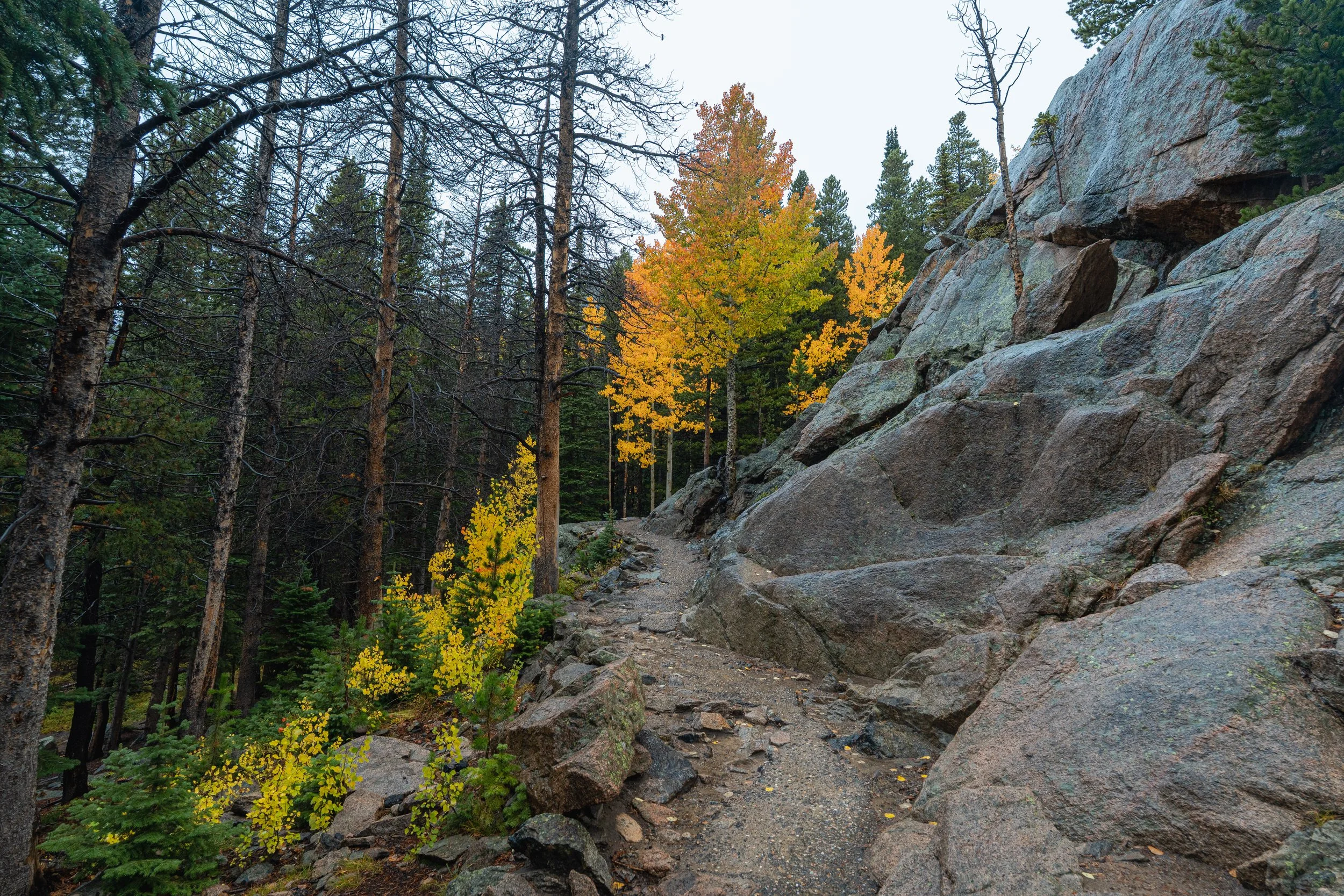 RMNP 2025 fall-11.jpg