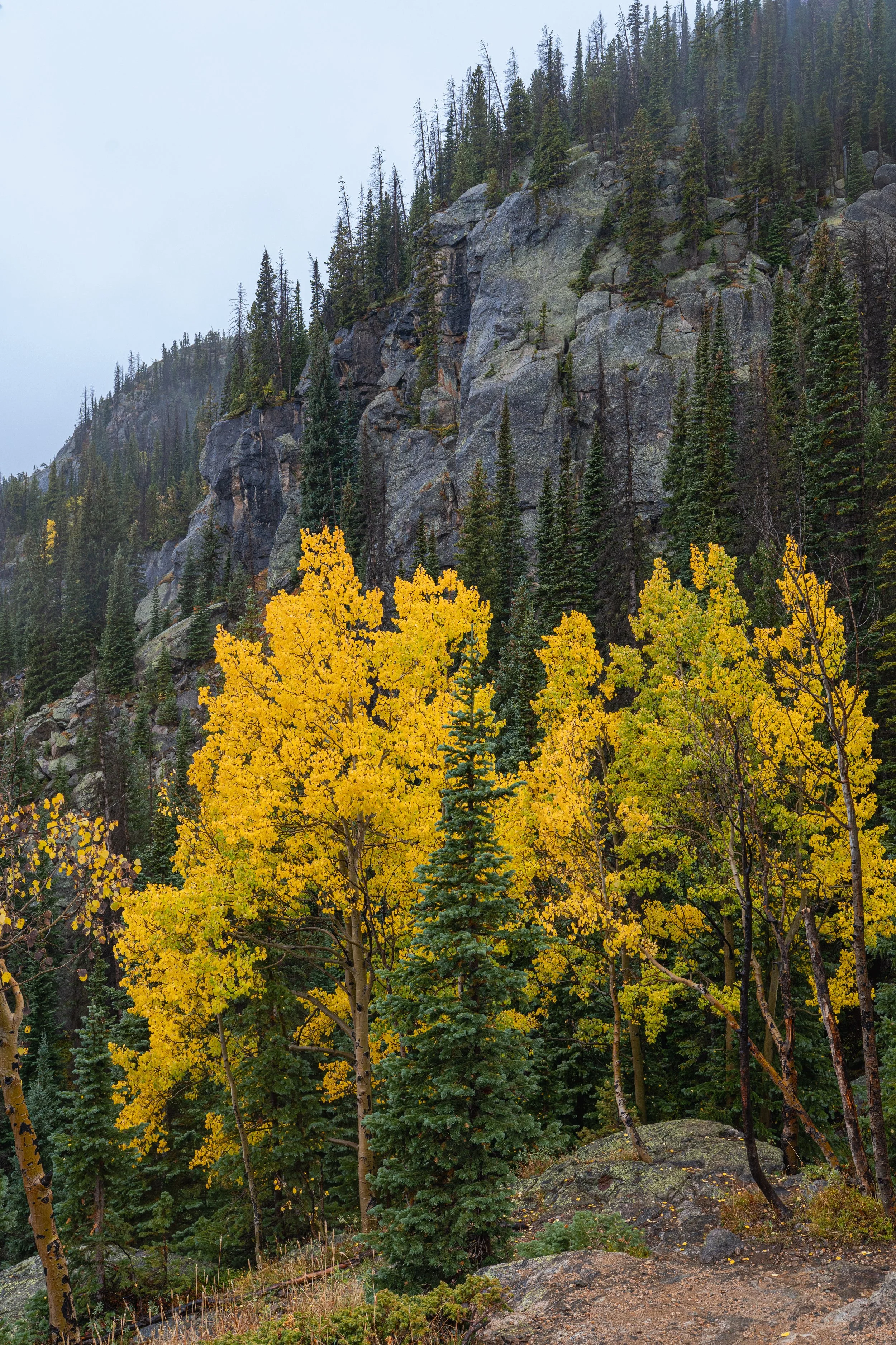 RMNP 2025 fall-12.jpg