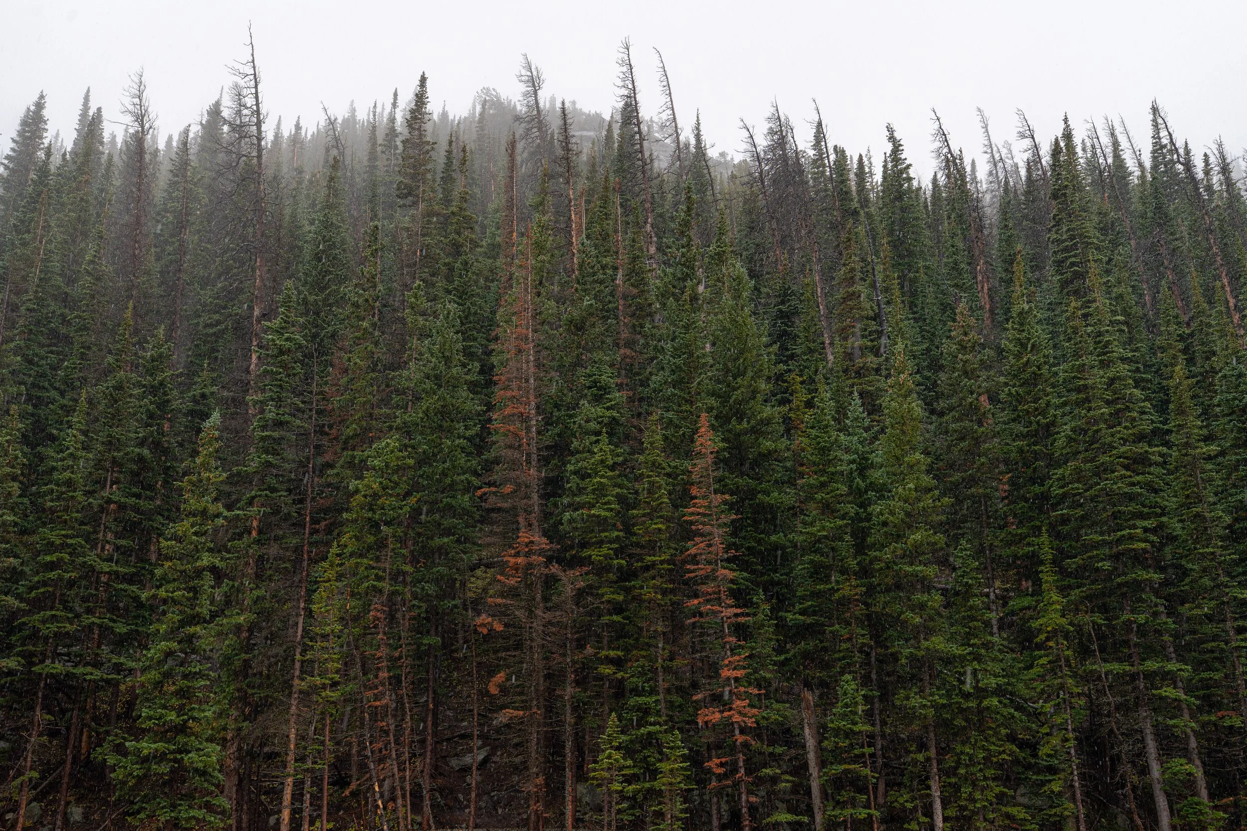 RMNP 2025 fall-13.jpg