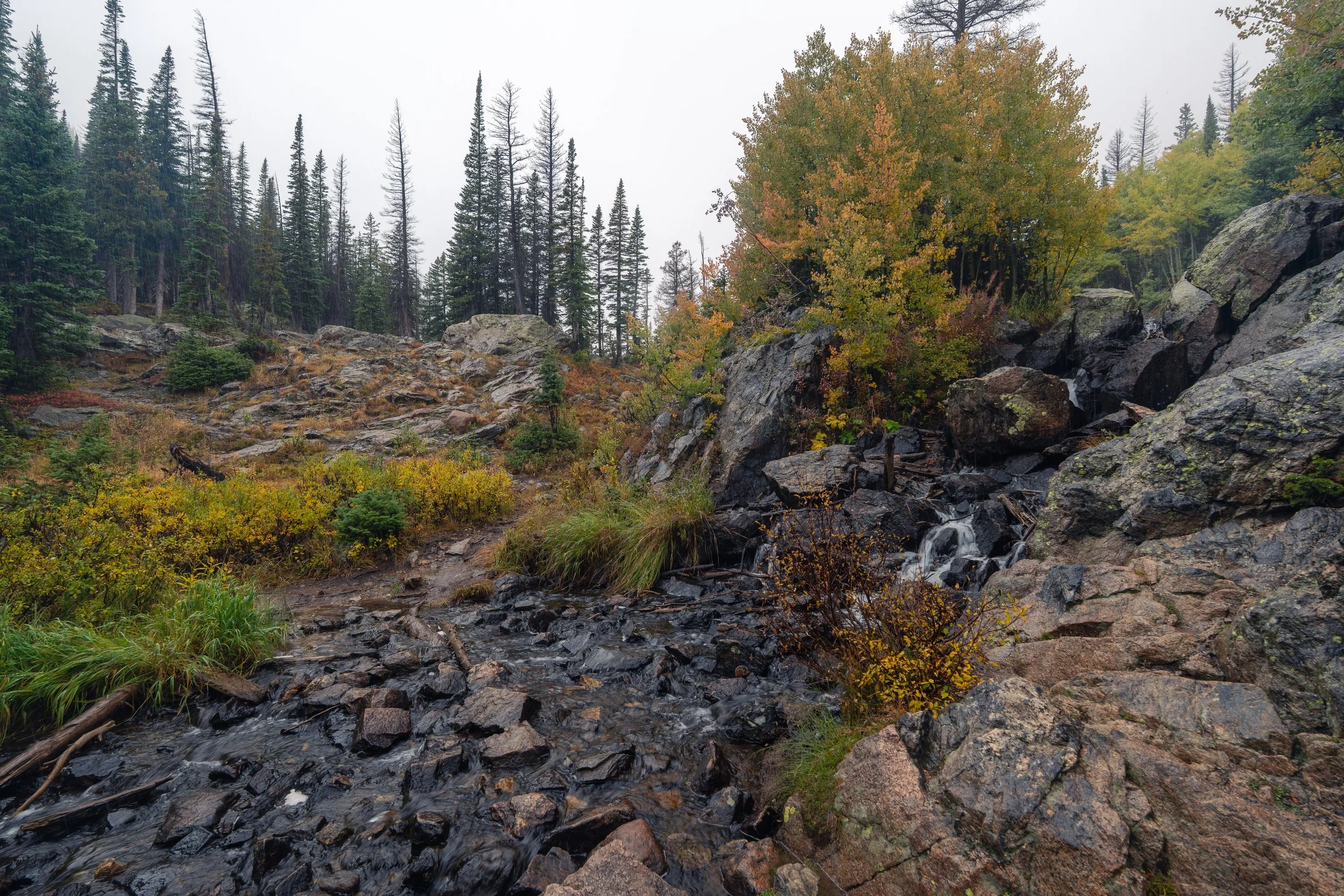 RMNP 2025 fall-16.jpg