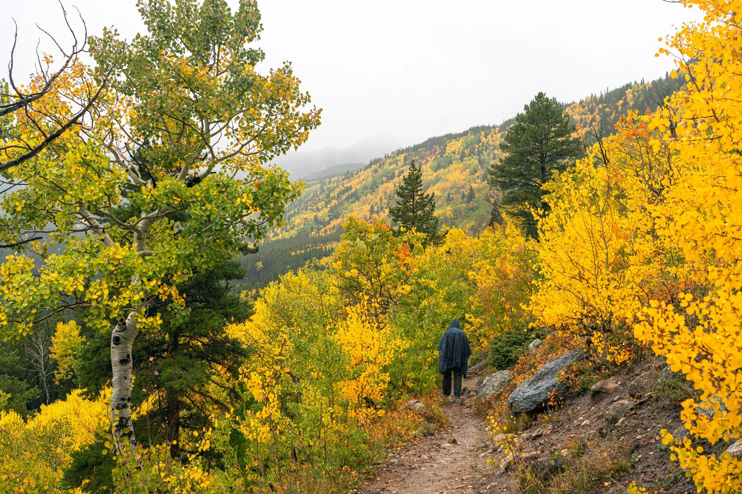 RMNP 2025 fall-17.jpg