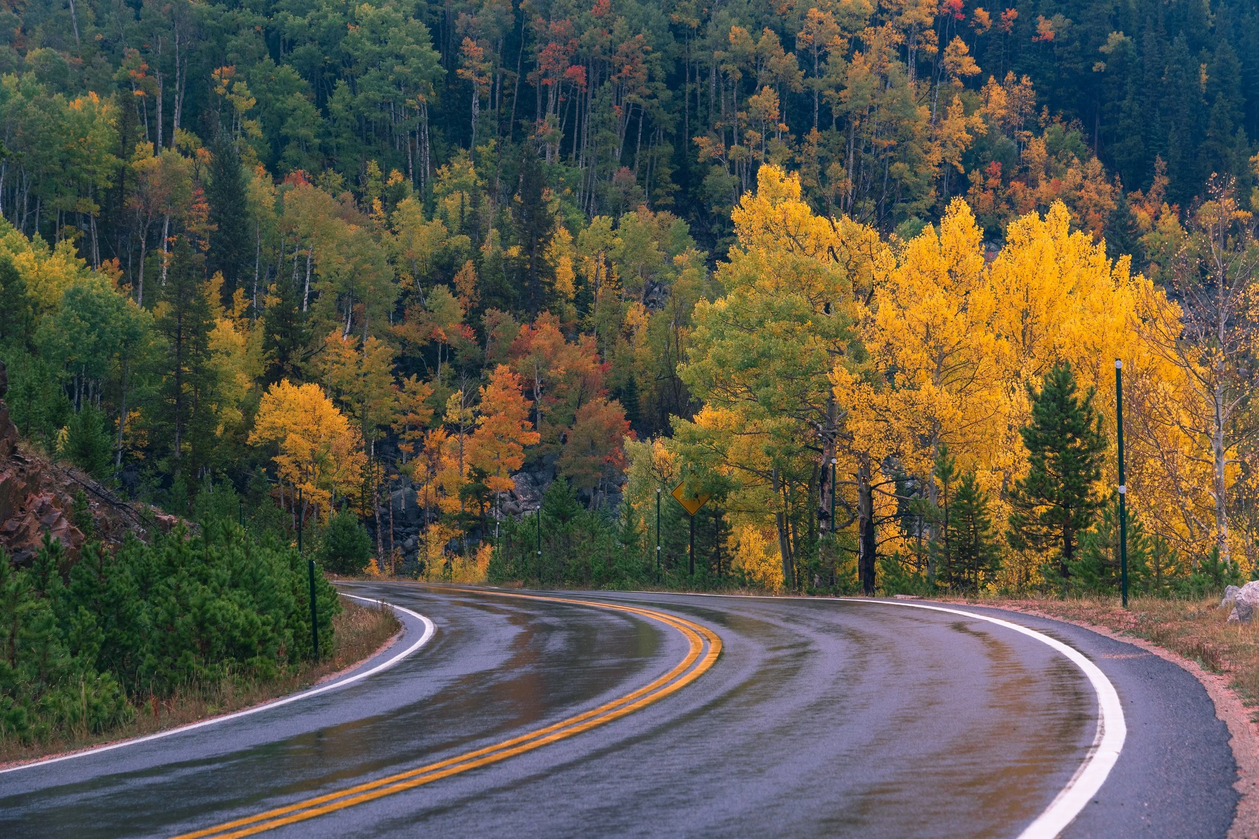 RMNP 2025 fall-19.jpg