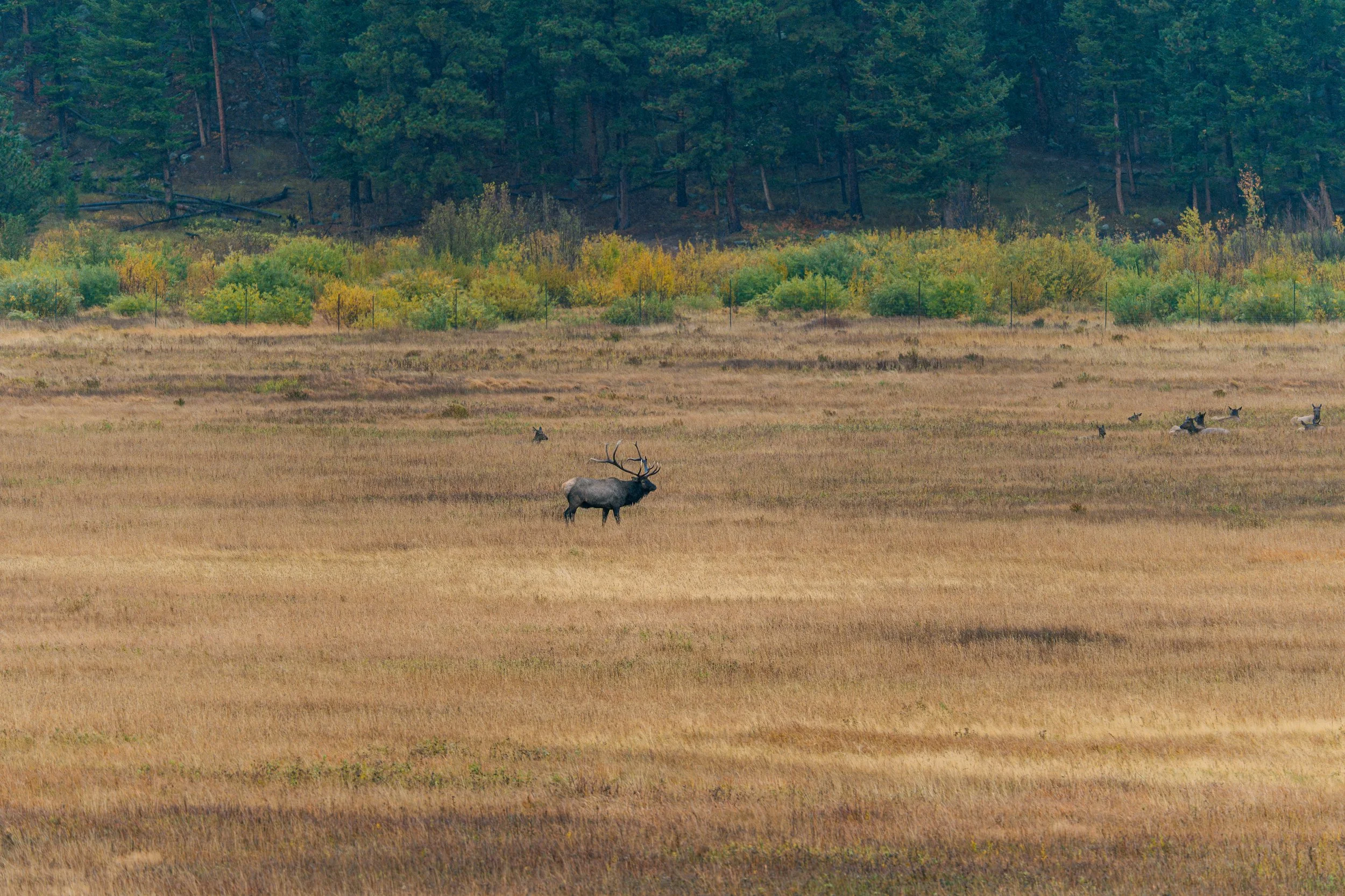 RMNP 2025 fall-25.jpg