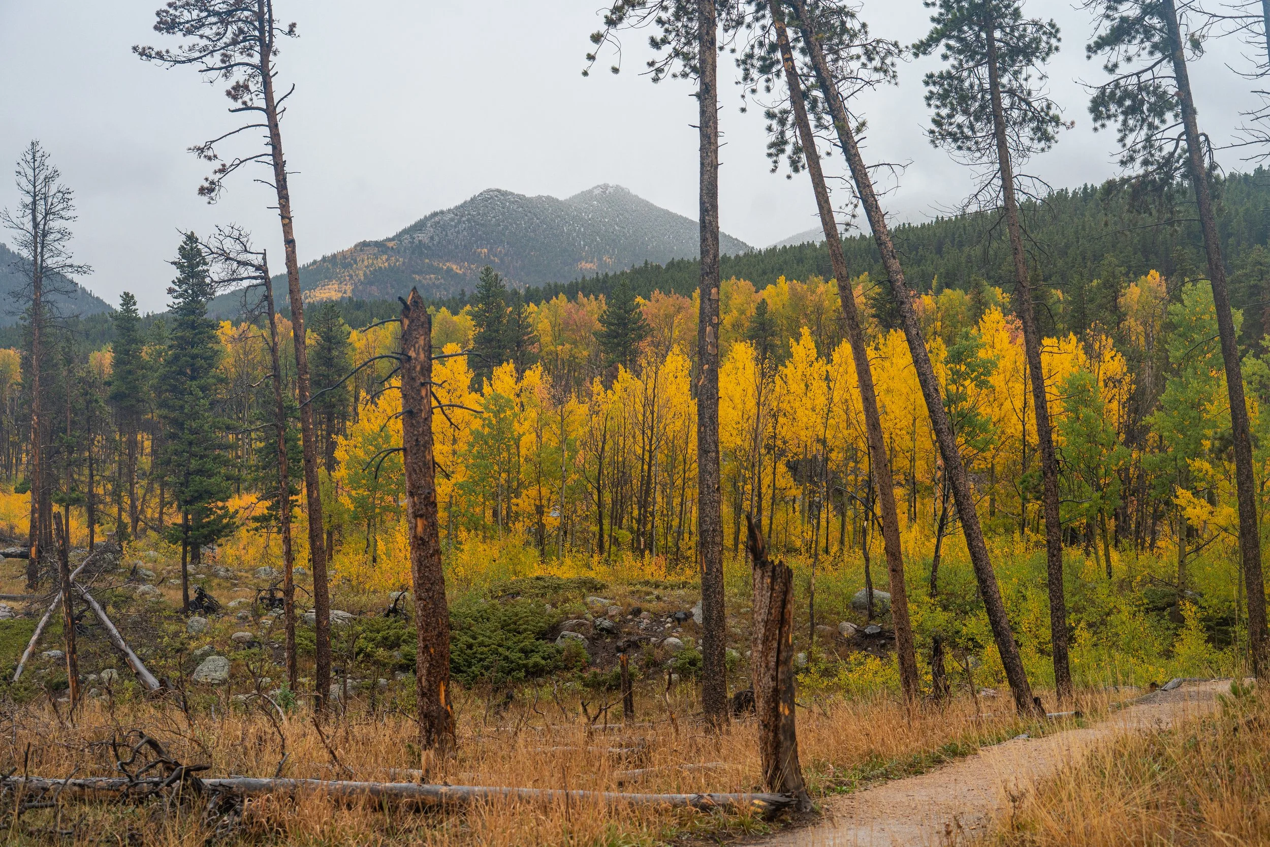 RMNP 2025 fall-24.jpg