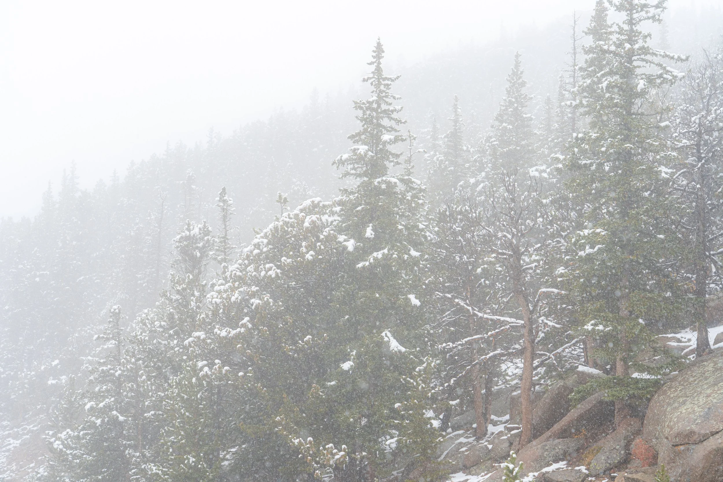 RMNP 2025 fall-26.jpg