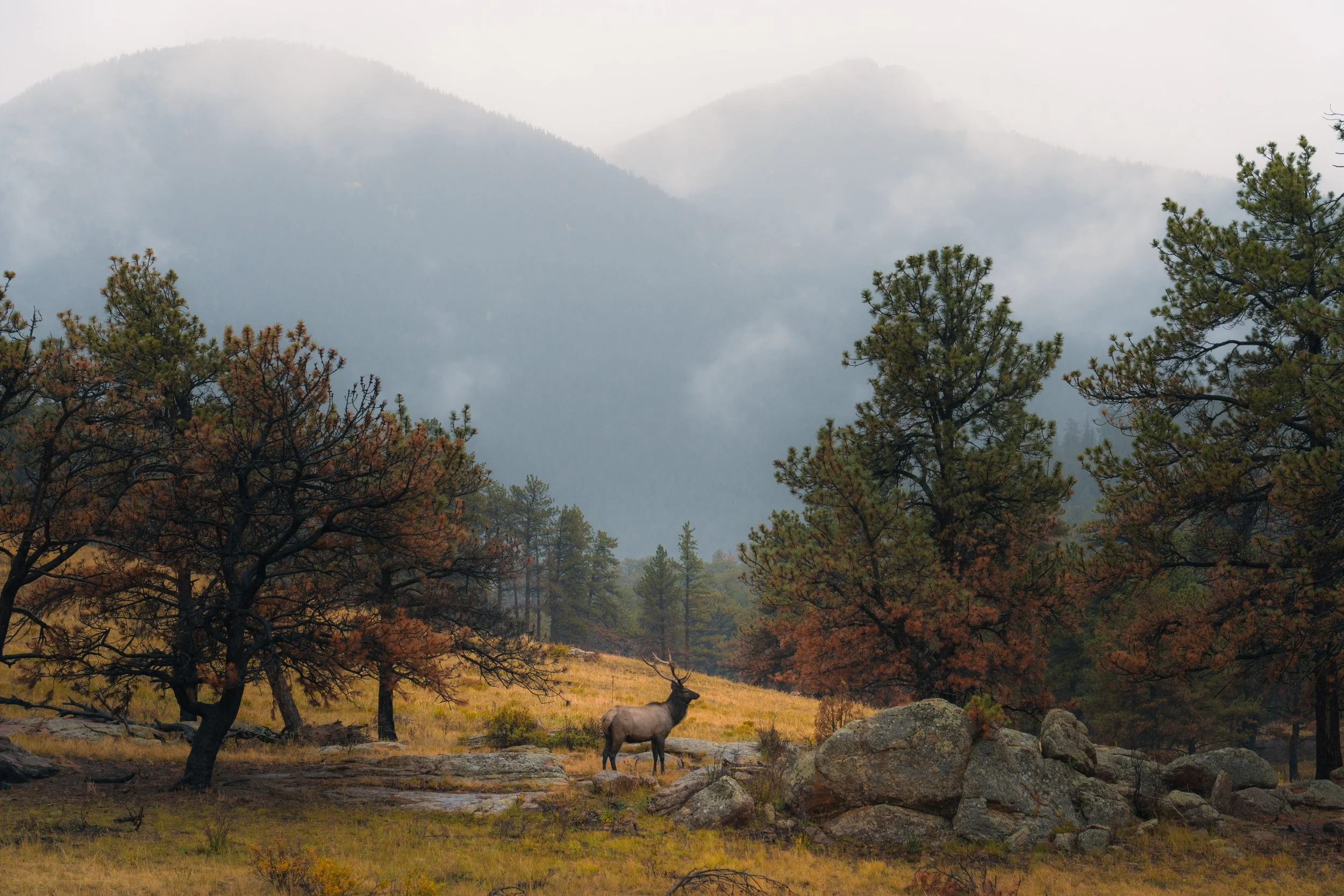 RMNP 2025 fall-28.jpg