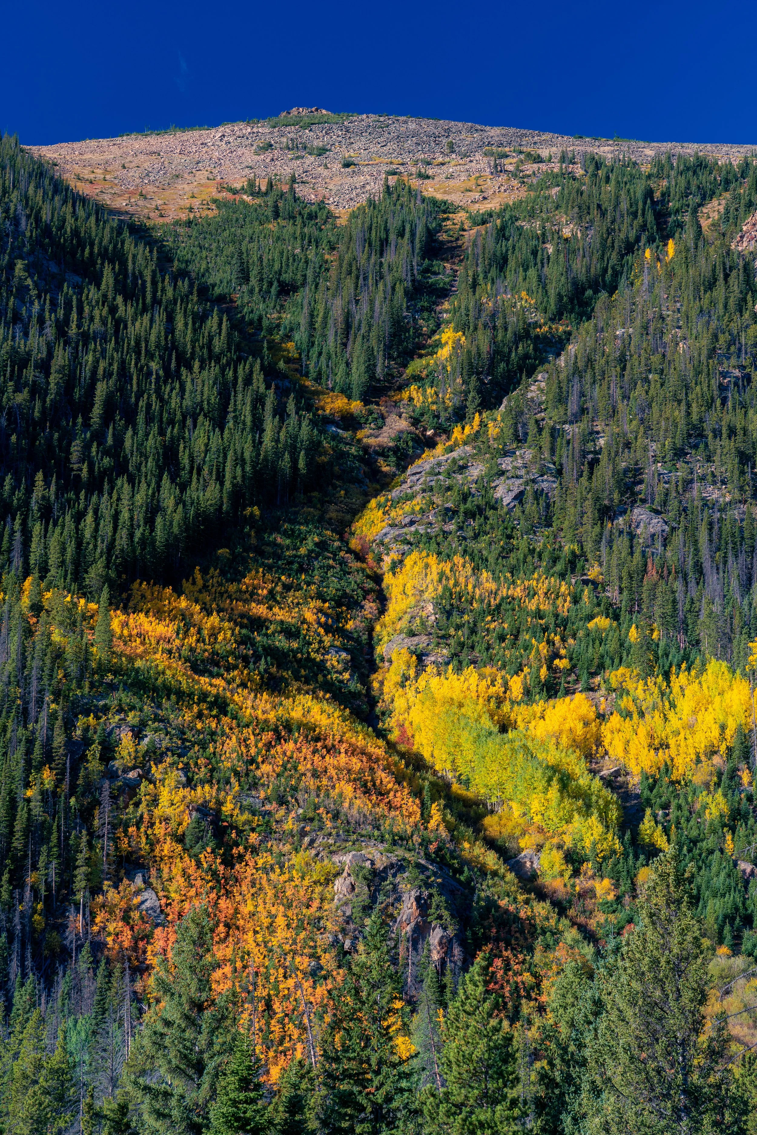 RMNP 2025 fall-29.jpg