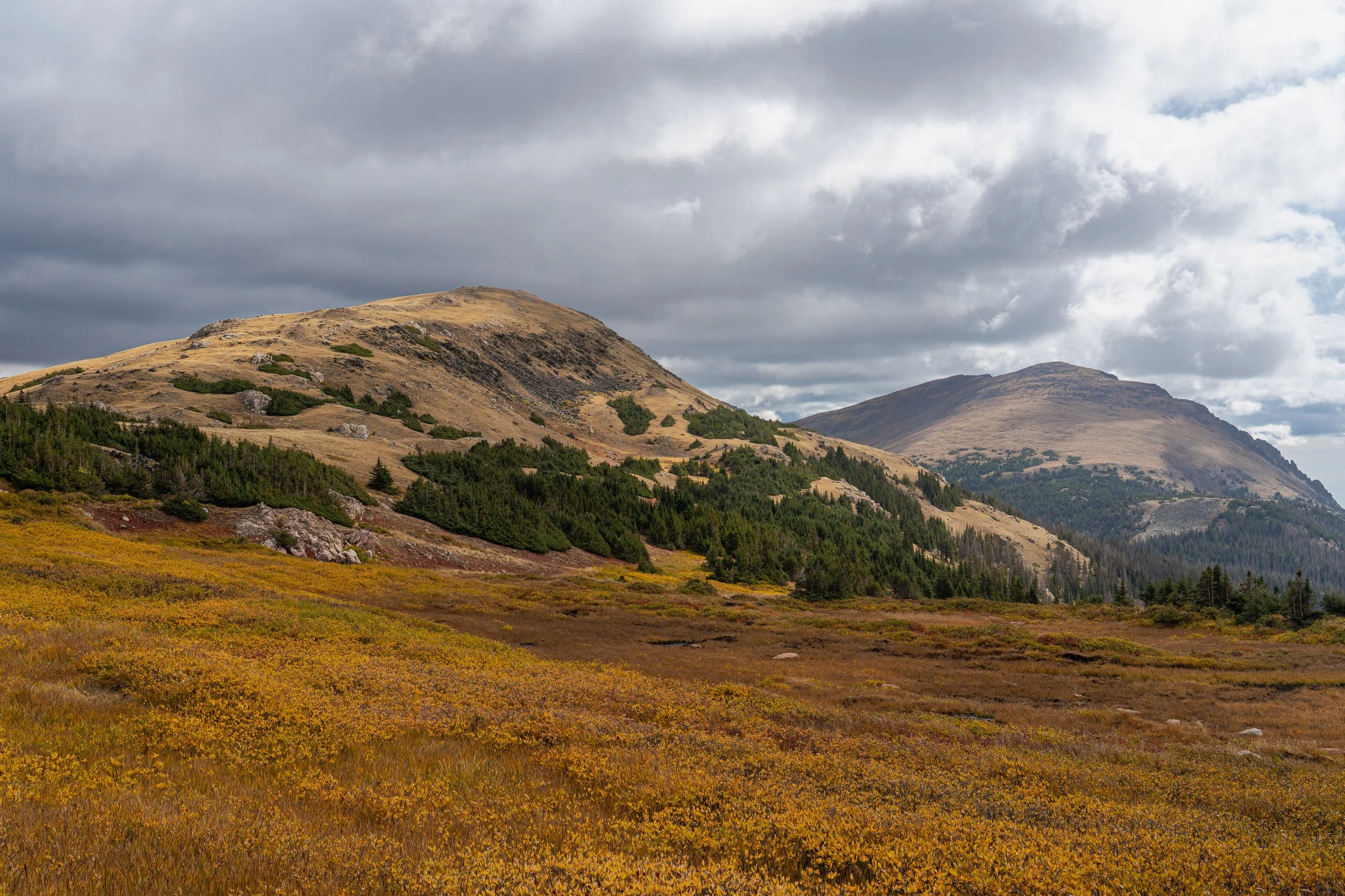 RMNP 2025 fall-32.jpg