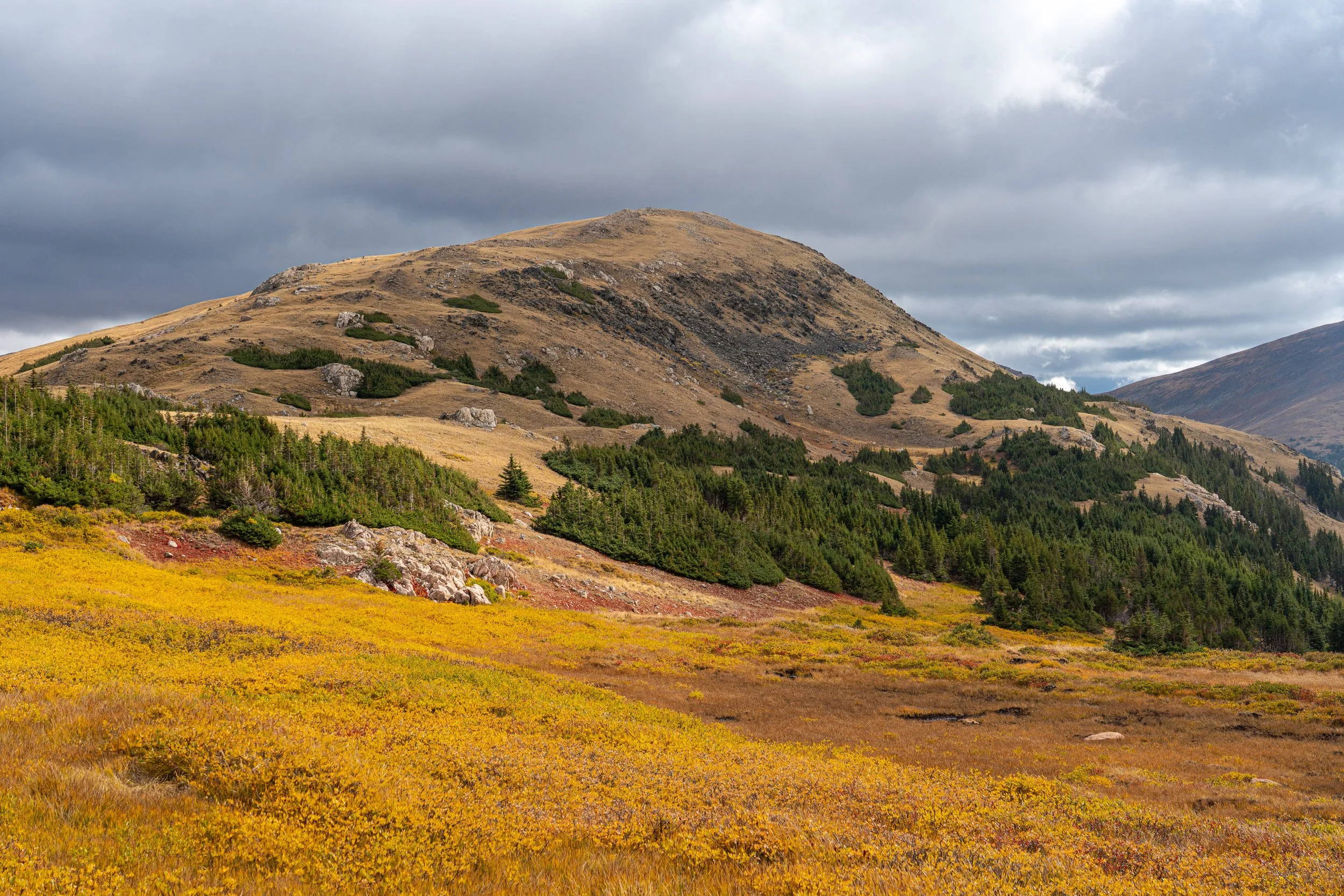 RMNP 2025 fall-31.jpg