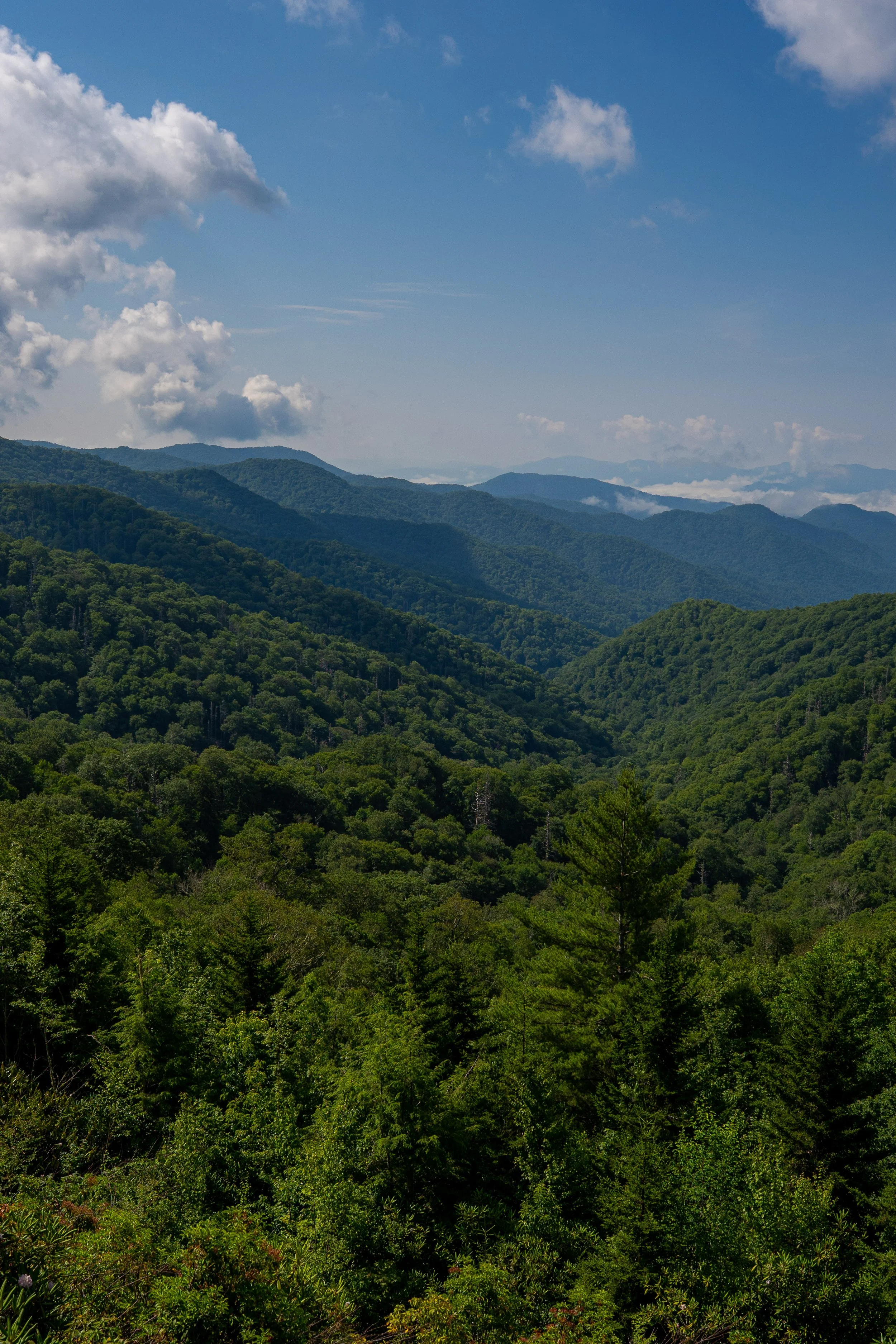 North Carolina-6.jpg