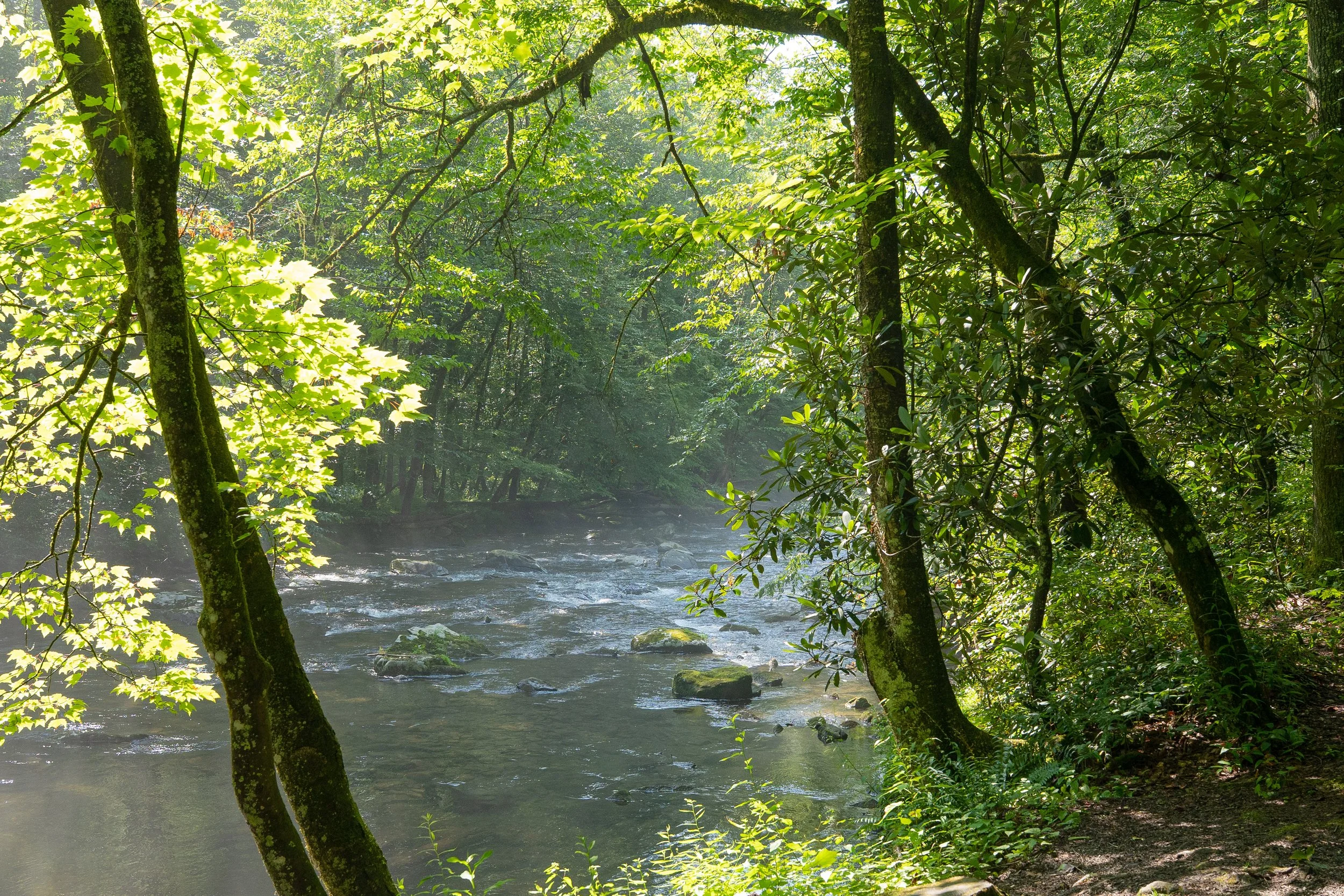 North Carolina-5.jpg