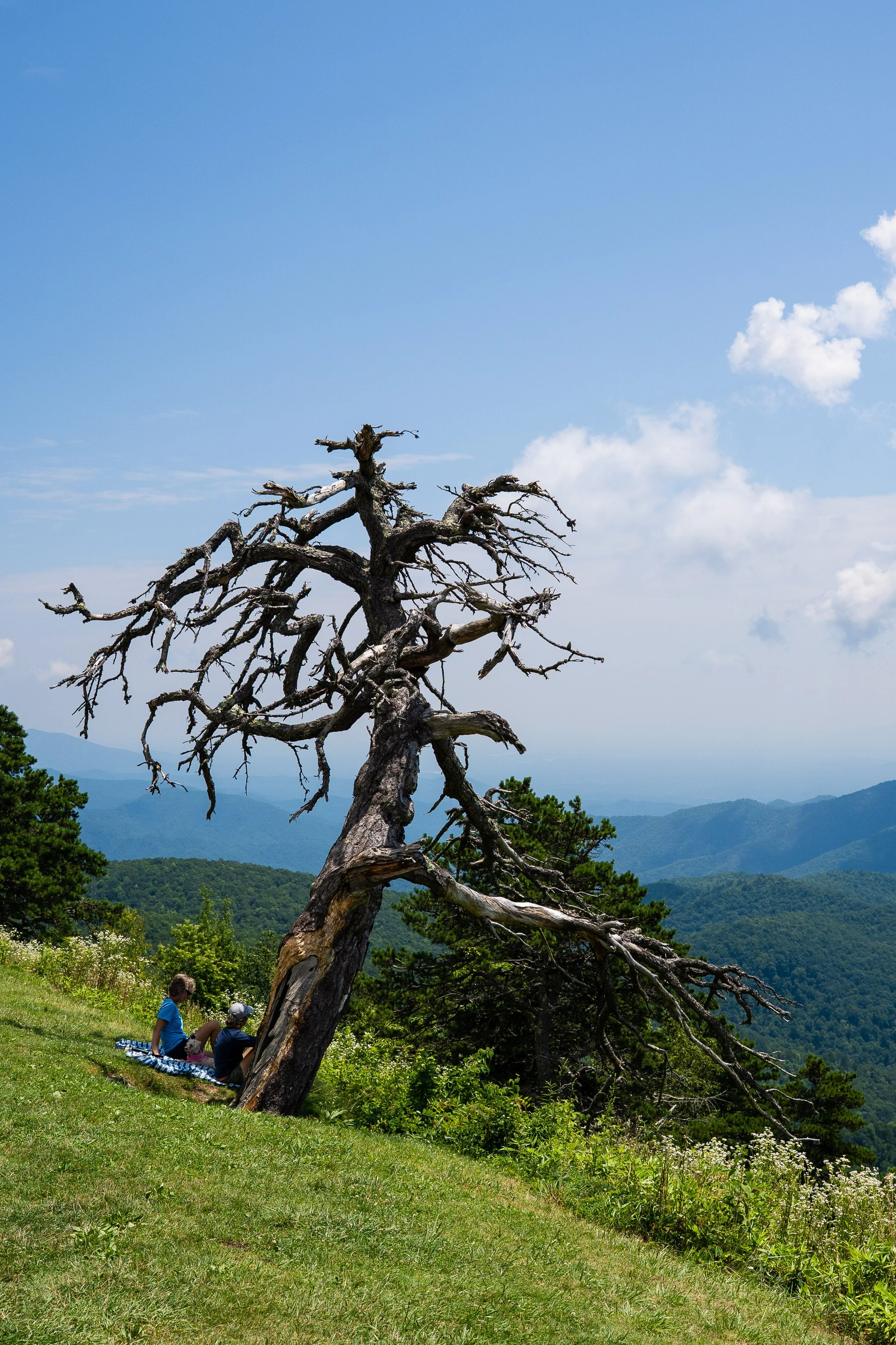 North Carolina-9.jpg