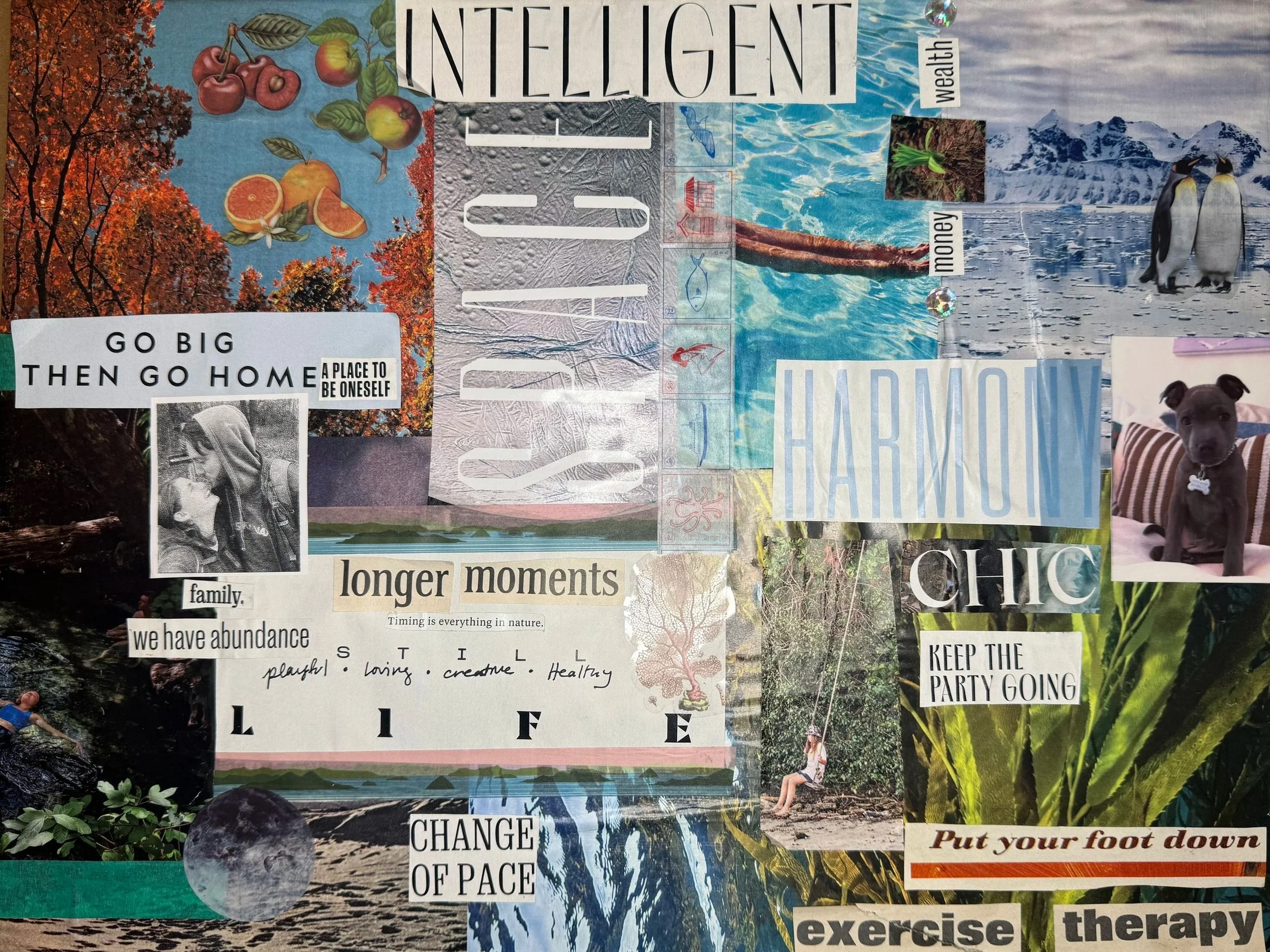 Wellness Session | Envision your Future: Vision Boarding
