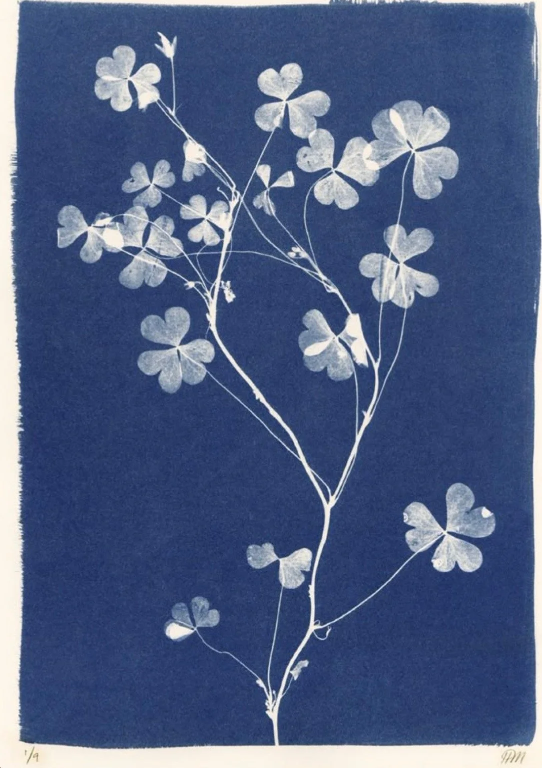 Medium &amp; Technique | Cyanotype