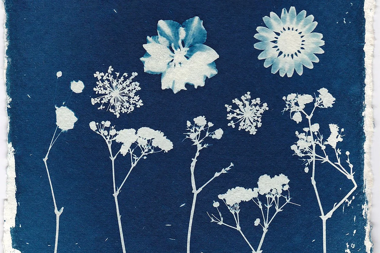 Guide-to-cyanotype-printing-b5a727f.jpg
